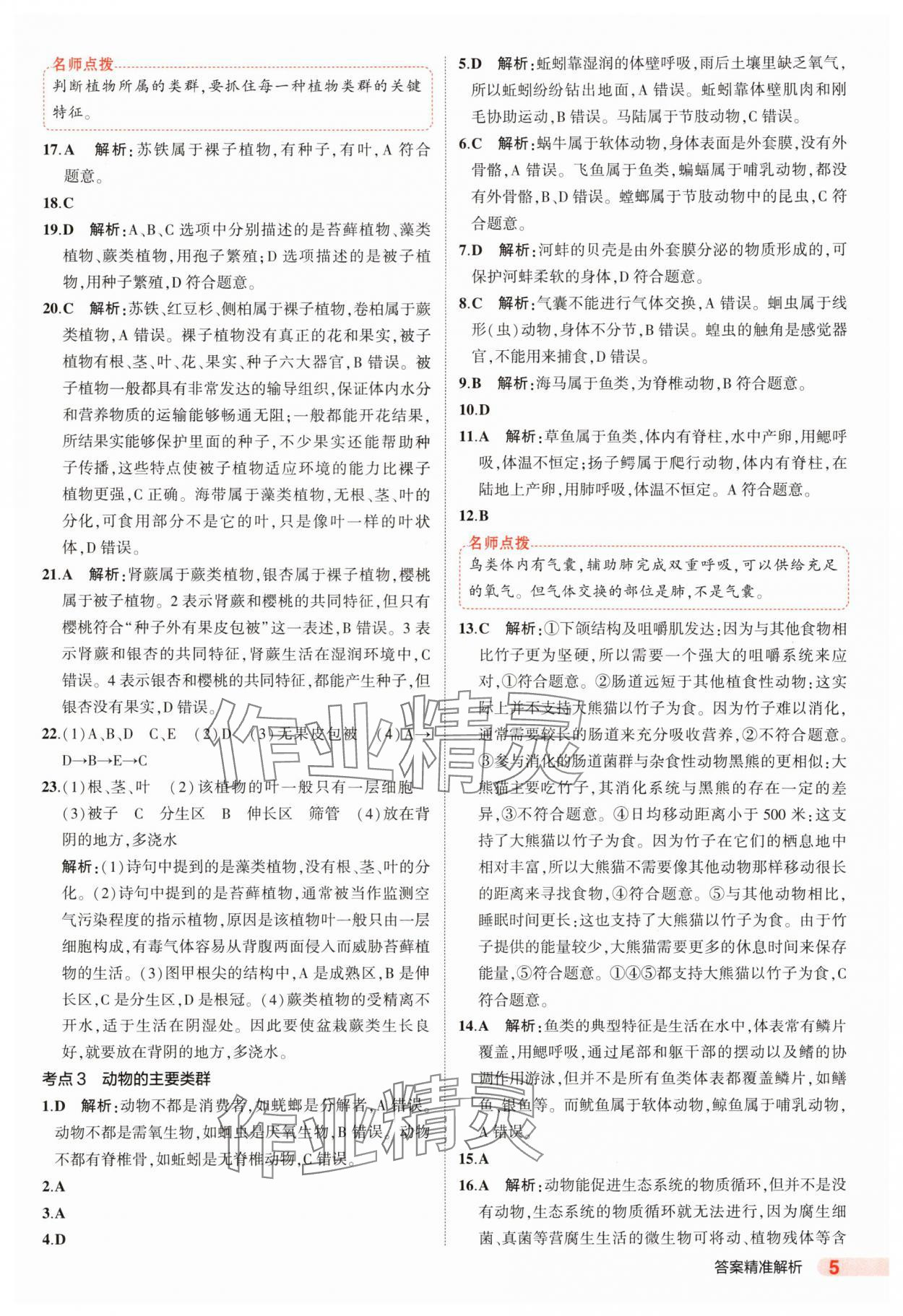 2025年5年中考3年模擬生物中考山東專版 參考答案第5頁