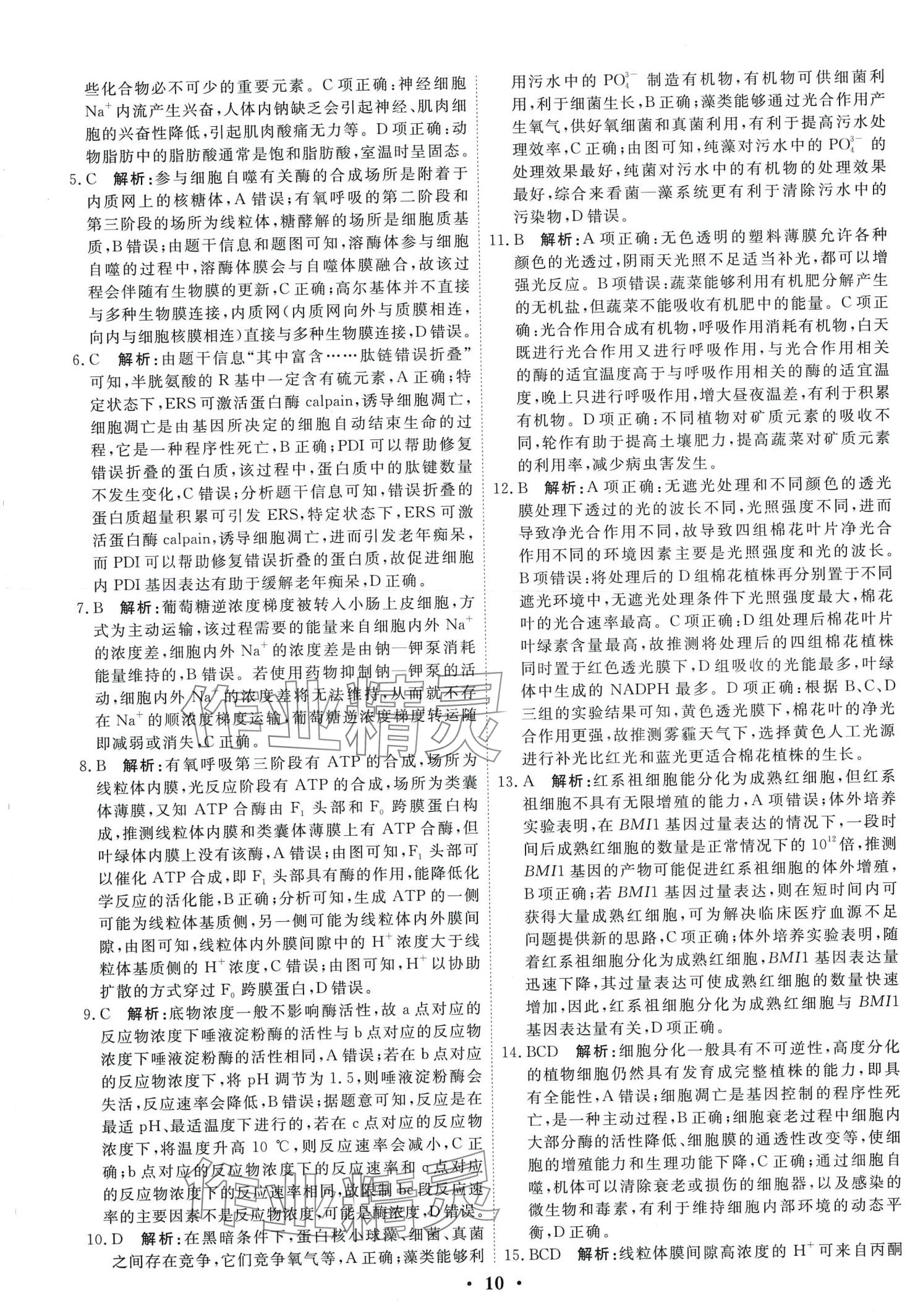 2024年衡水金卷高中生物通用版 第12頁