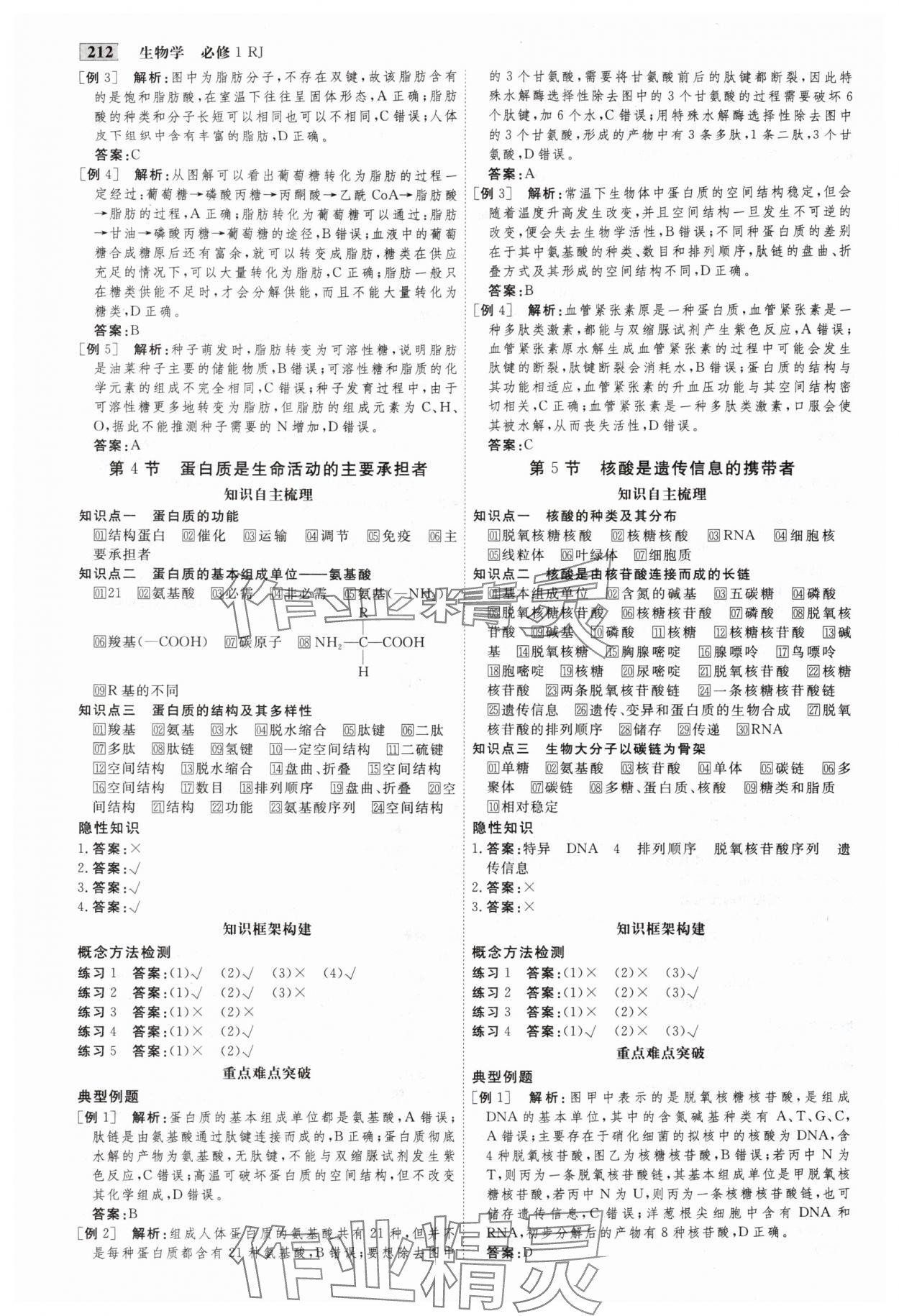 2025年金版教程高中新课程创新导学案高中生物必修1人教版 第3页