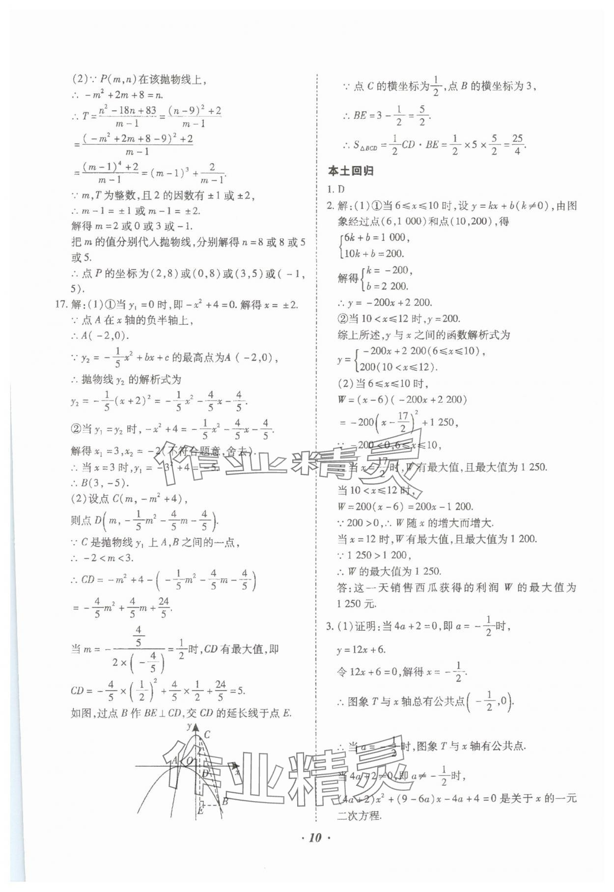 2024年本土攻略精準(zhǔn)復(fù)習(xí)方案數(shù)學(xué)中考云南專版 參考答案第10頁