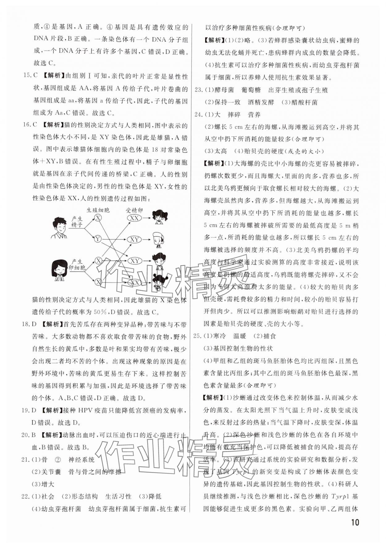 2025年新一線必刷卷生物河南專版 參考答案第10頁