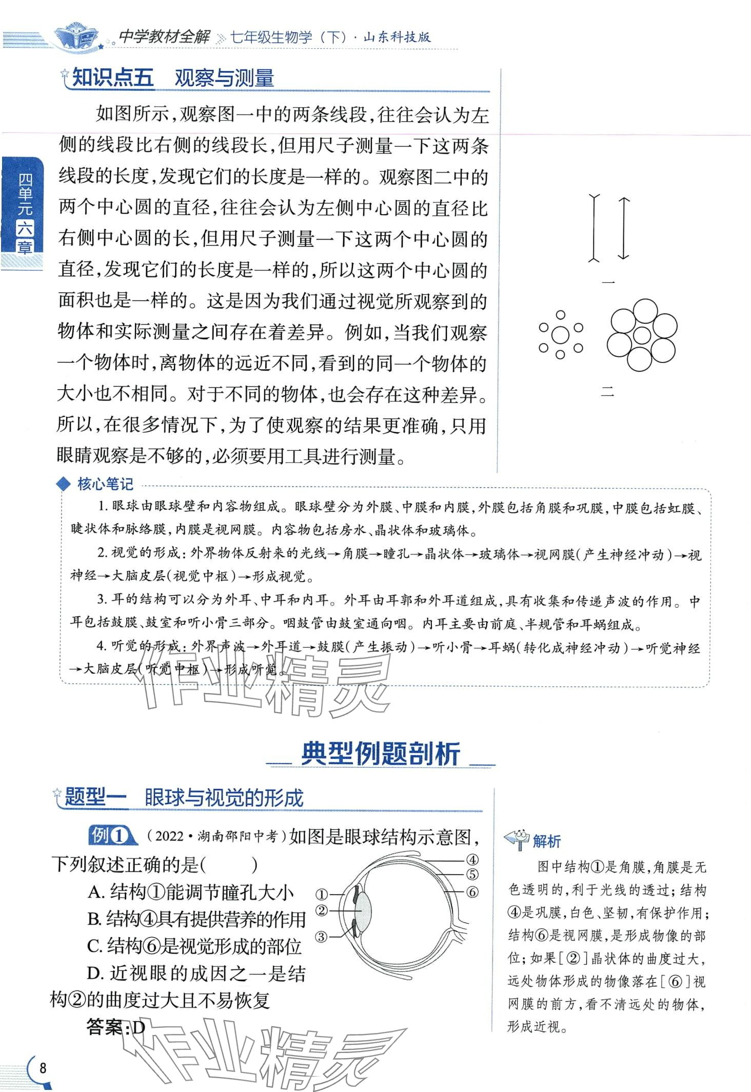 2024年教材课本七年级生物下册鲁科版&nbsp;第8页