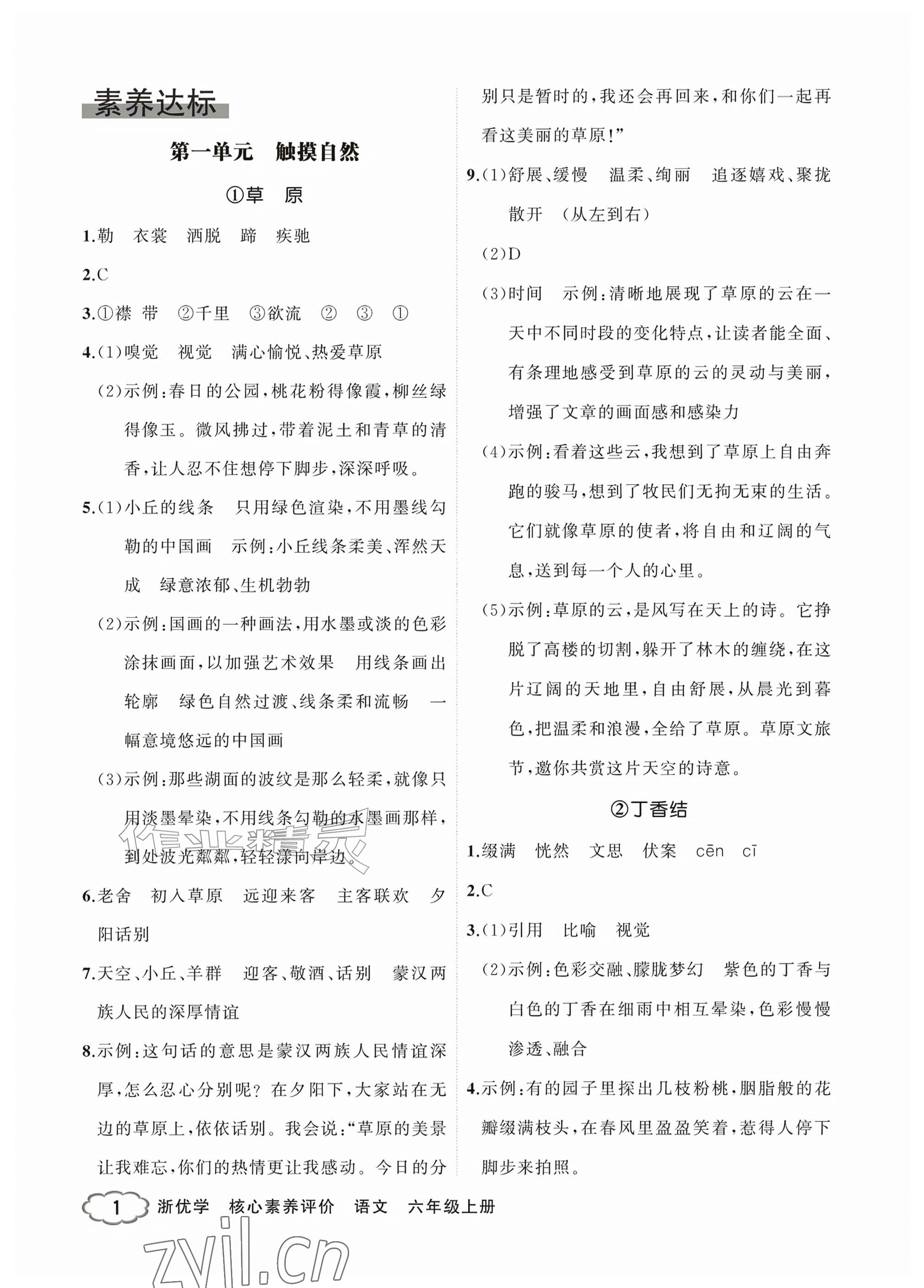 2026年浙优学核心素养评价六年级语文上册人教版&nbsp;参考答案第1页
