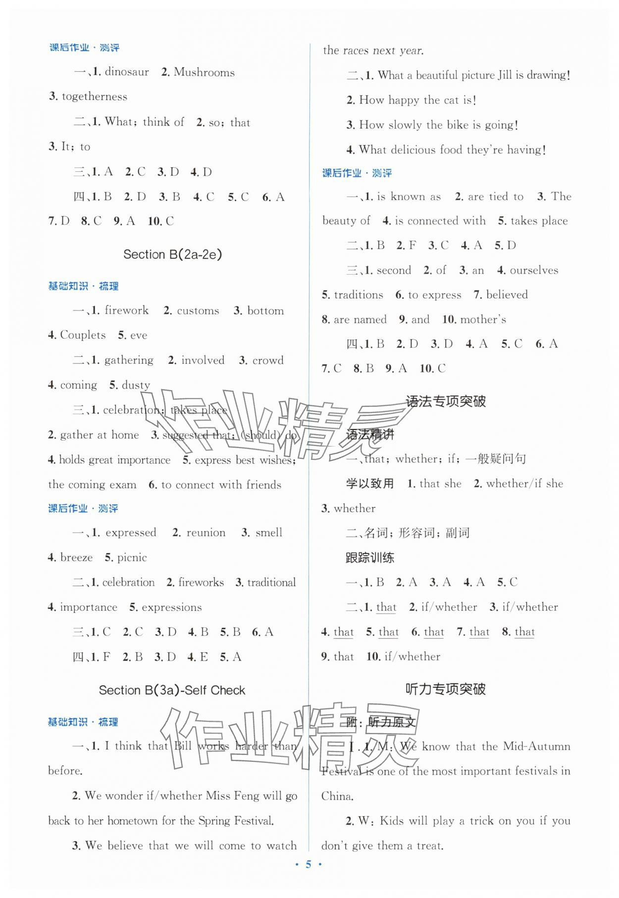 2025年同步解析与测评学考练九年级英语全一册人教版&nbsp;第5页
