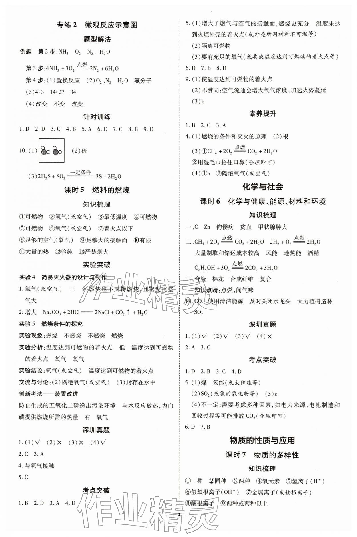 2026年领跑中考化学深圳专版&nbsp;第3页