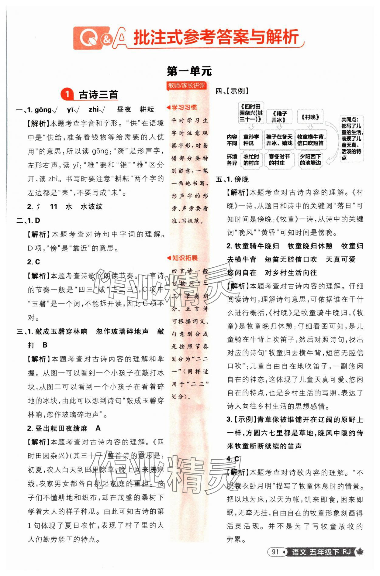 2025年小學必刷題五年級語文下冊人教版 參考答案第1頁