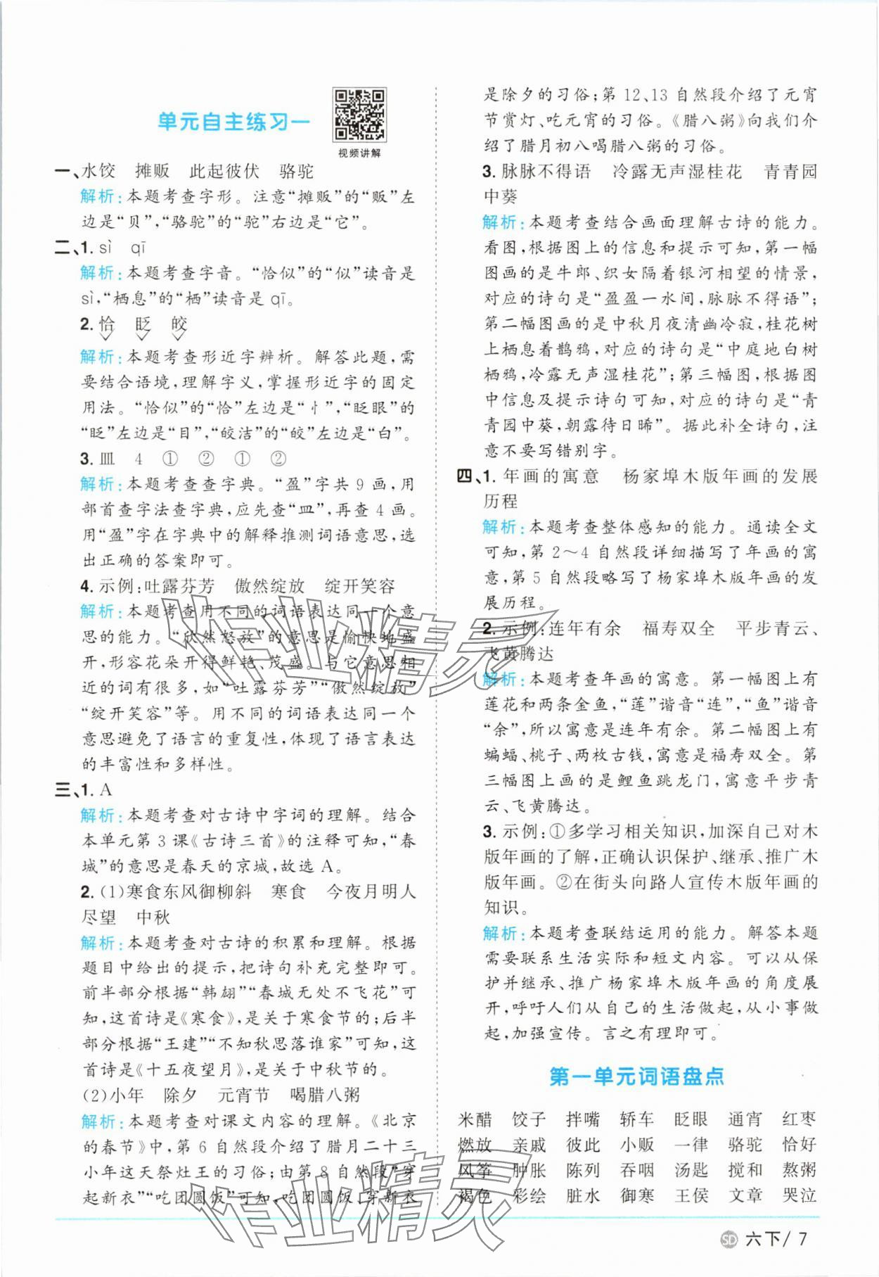 2025年阳光同学课时优化作业六年级语文下册人教版菏泽专版 参考答案第7页