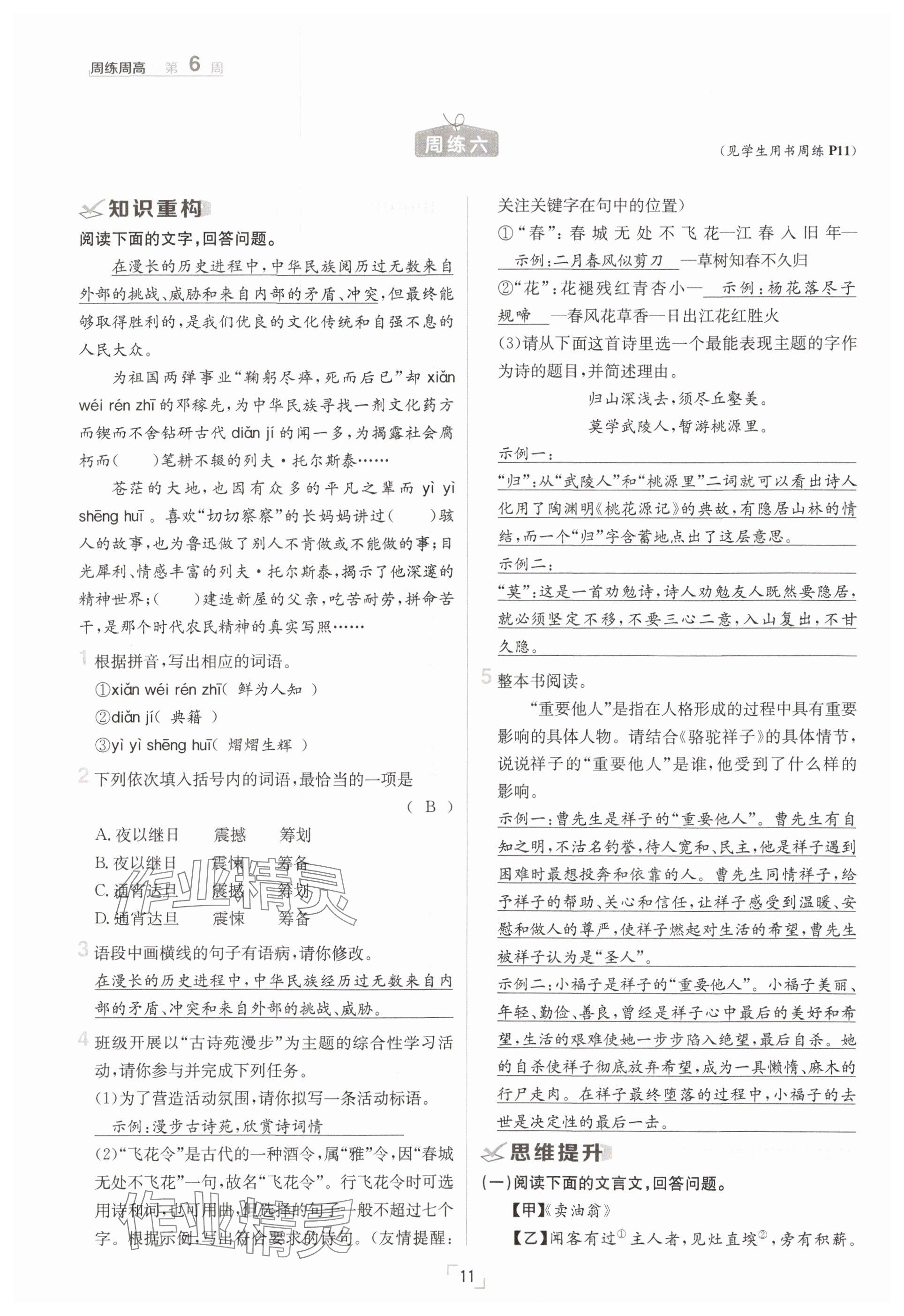 2025年日清周練七年級語文下冊人教版 參考答案第11頁