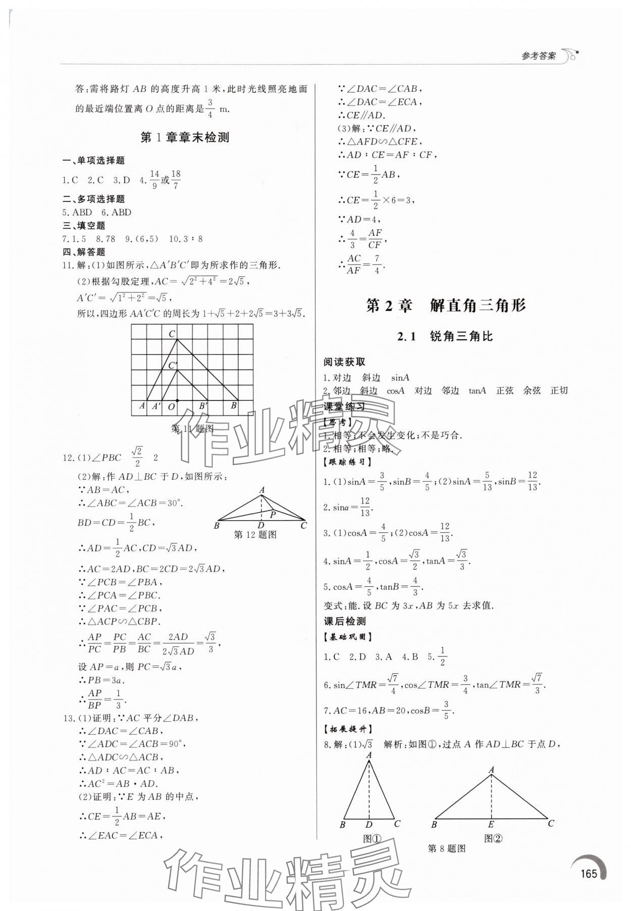 2025年初中同步练习册九年级数学上册青岛版&nbsp;参考答案第6页