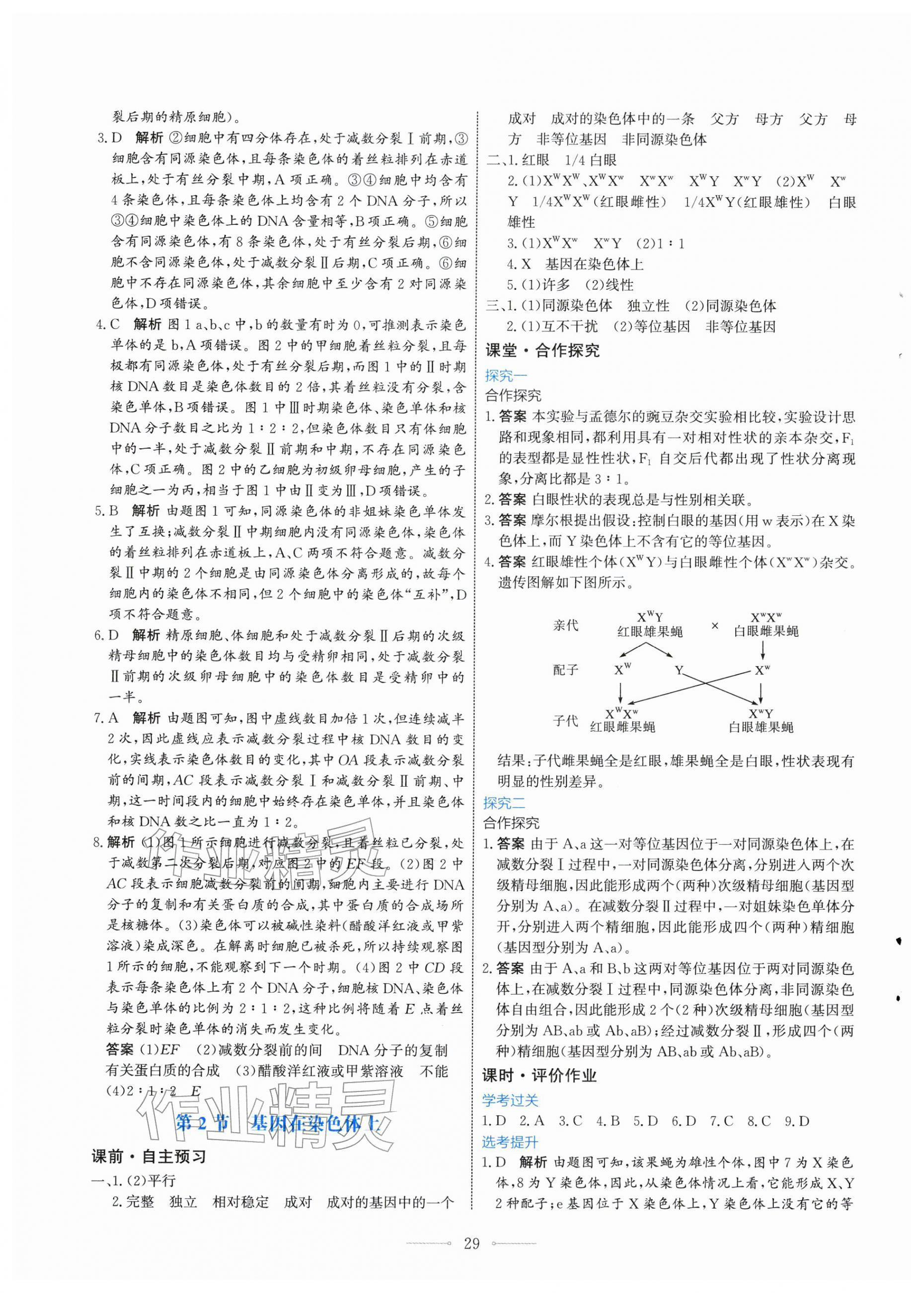 2026年阳光课堂人民教育出版社高中生物必修第二册福建专版&nbsp;第5页