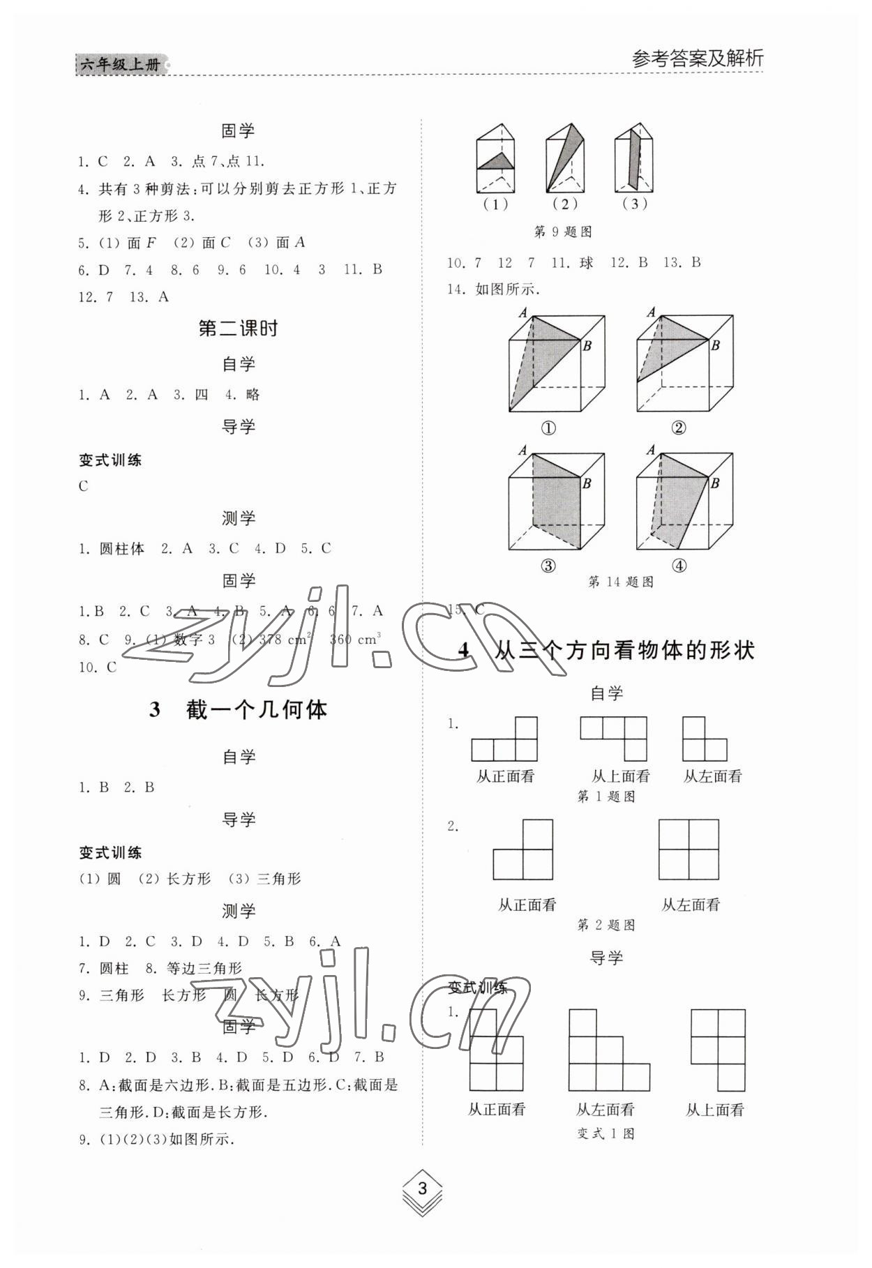 2023年綜合能力訓(xùn)練六年級數(shù)學(xué)上冊魯教版54制 參考答案第2頁