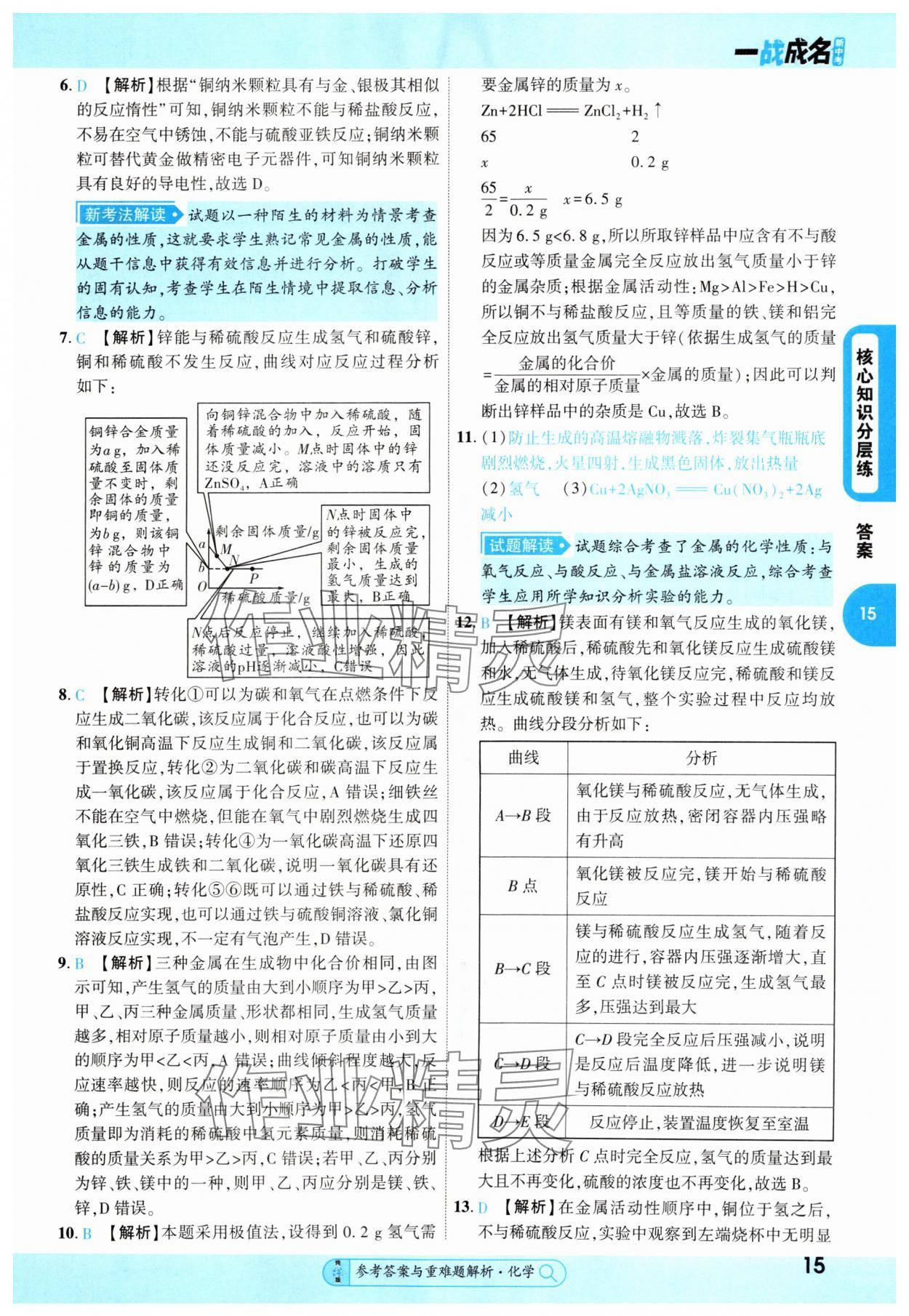 2025年純練版總復(fù)習(xí)化學(xué) 第15頁