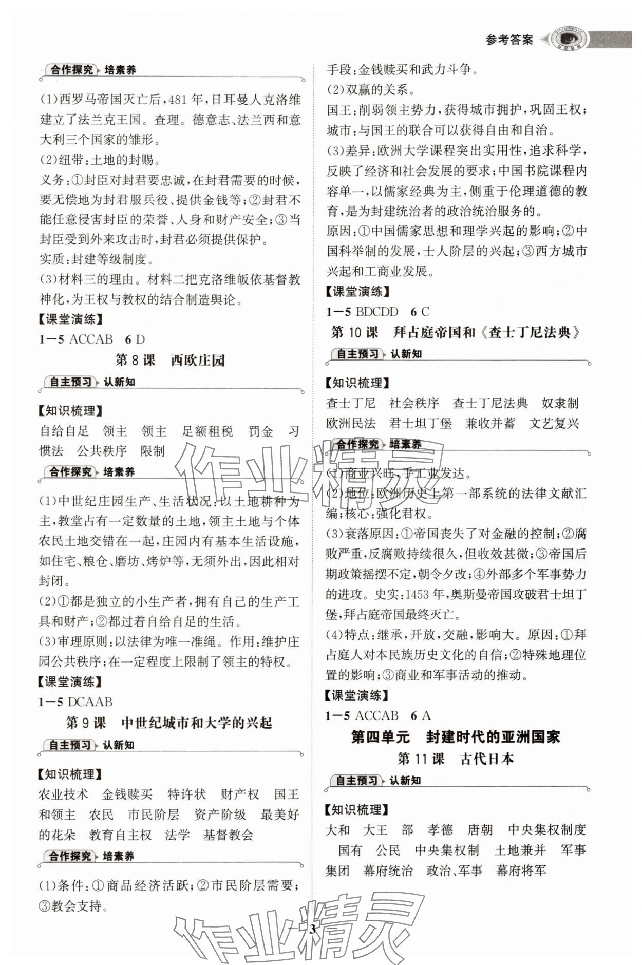 2025年世纪金榜初中学习方略九年级历史全一册人教版深圳专版&nbsp;第3页