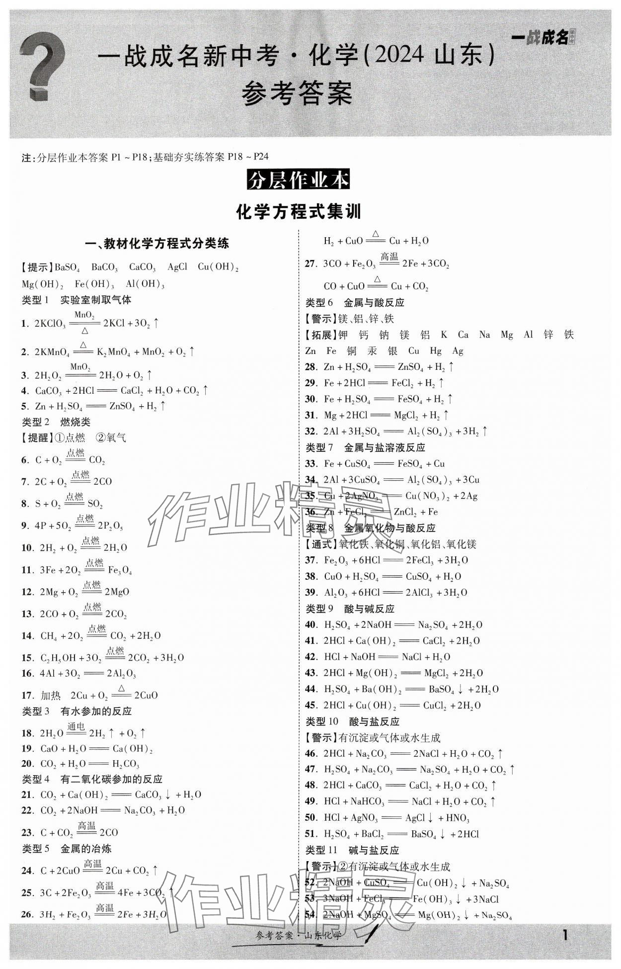 2024年一战成名考前新方案化学山东专版 第1页