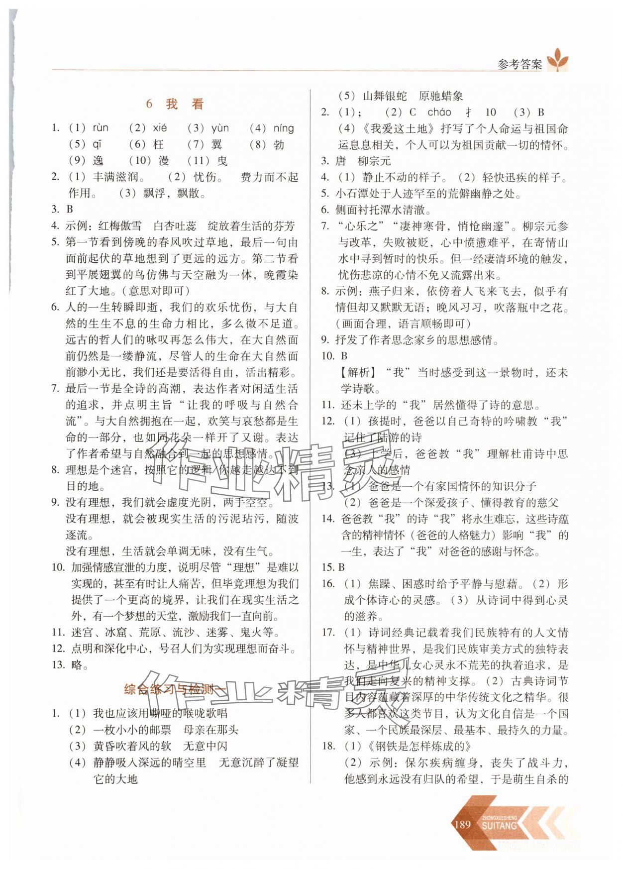 2025年隨堂同步練習九年級語文上冊人教版 參考答案第4頁