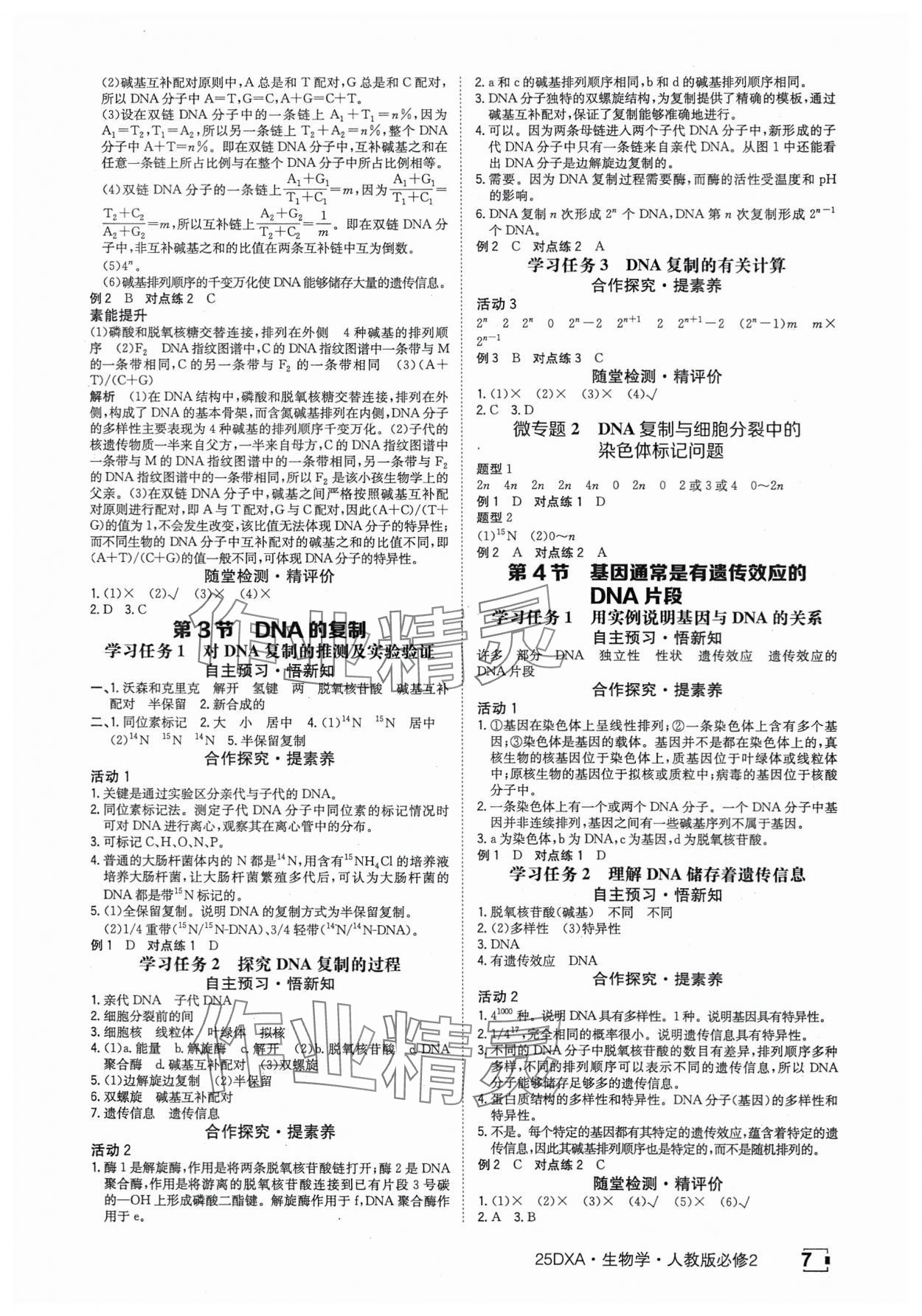 2025年金太陽導學案高中生物必修2人教版 參考答案第7頁