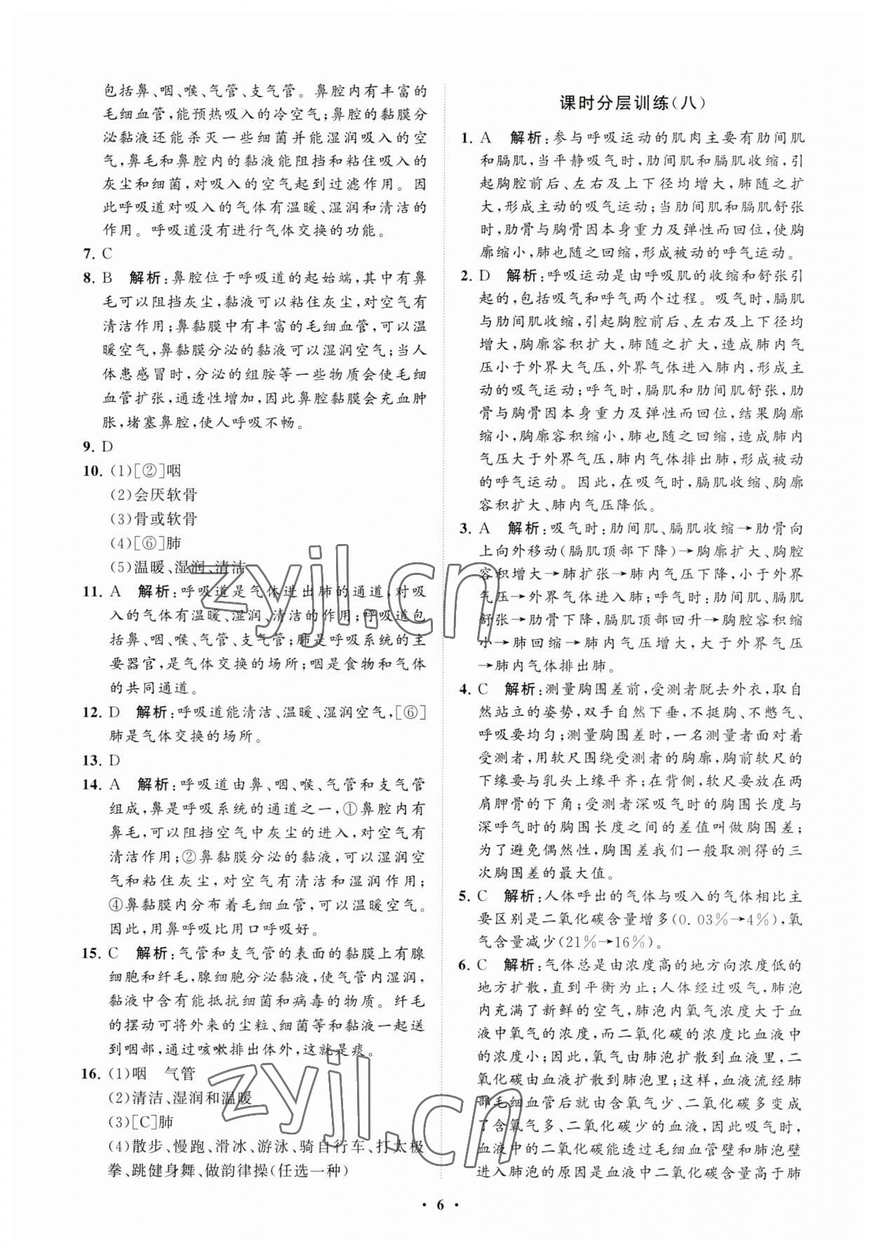 2023年同步練習(xí)冊(cè)分層卷七年級(jí)生物上冊(cè)魯科版54制 參考答案第6頁(yè)