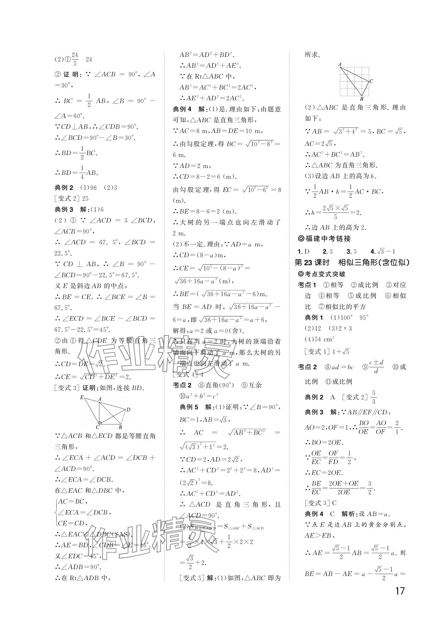 2024年陽光同學分層新中考數(shù)學福建專版 參考答案第17頁