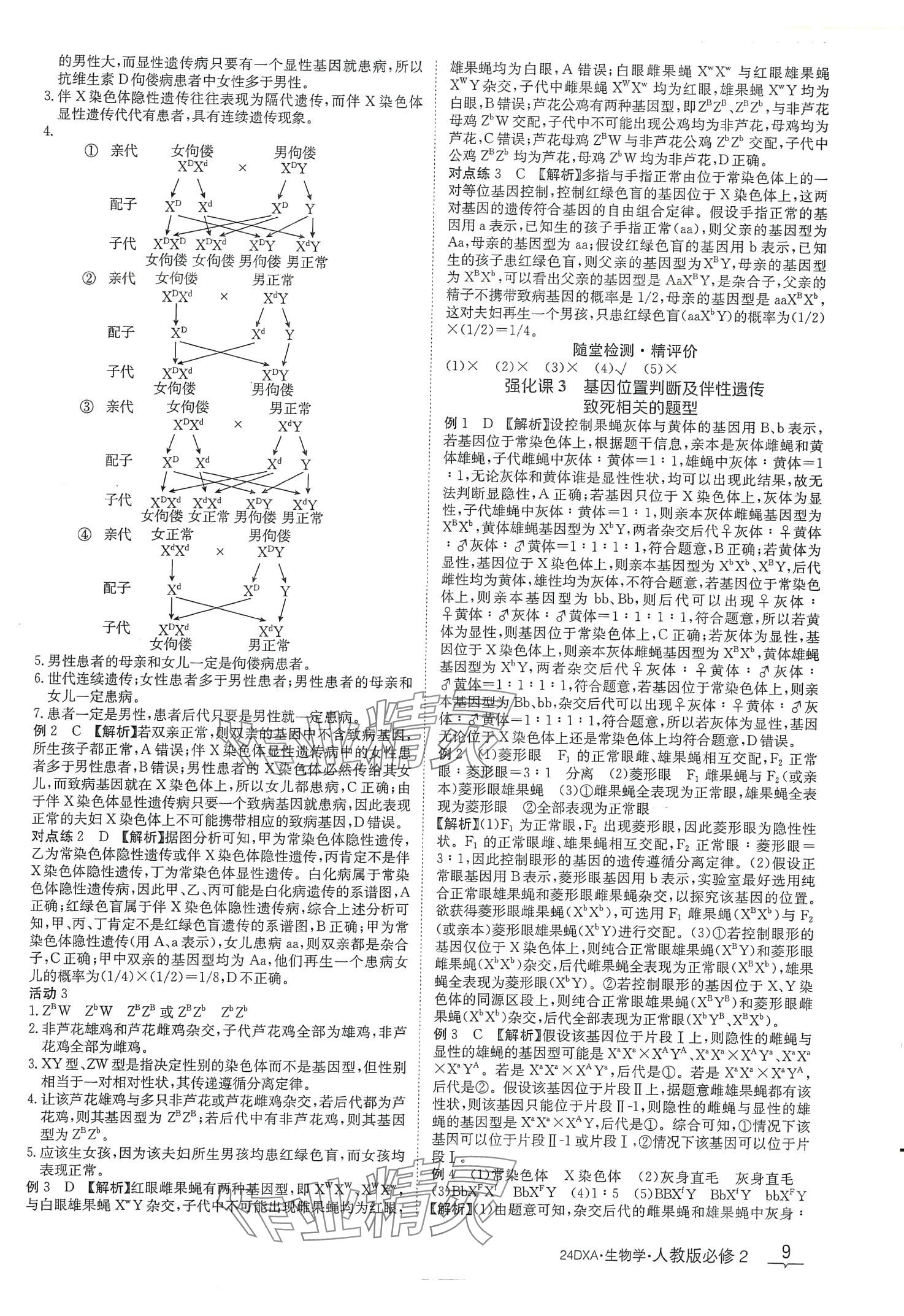 2024年金太陽導(dǎo)學(xué)案高中生物必修2人教版新教材 第9頁