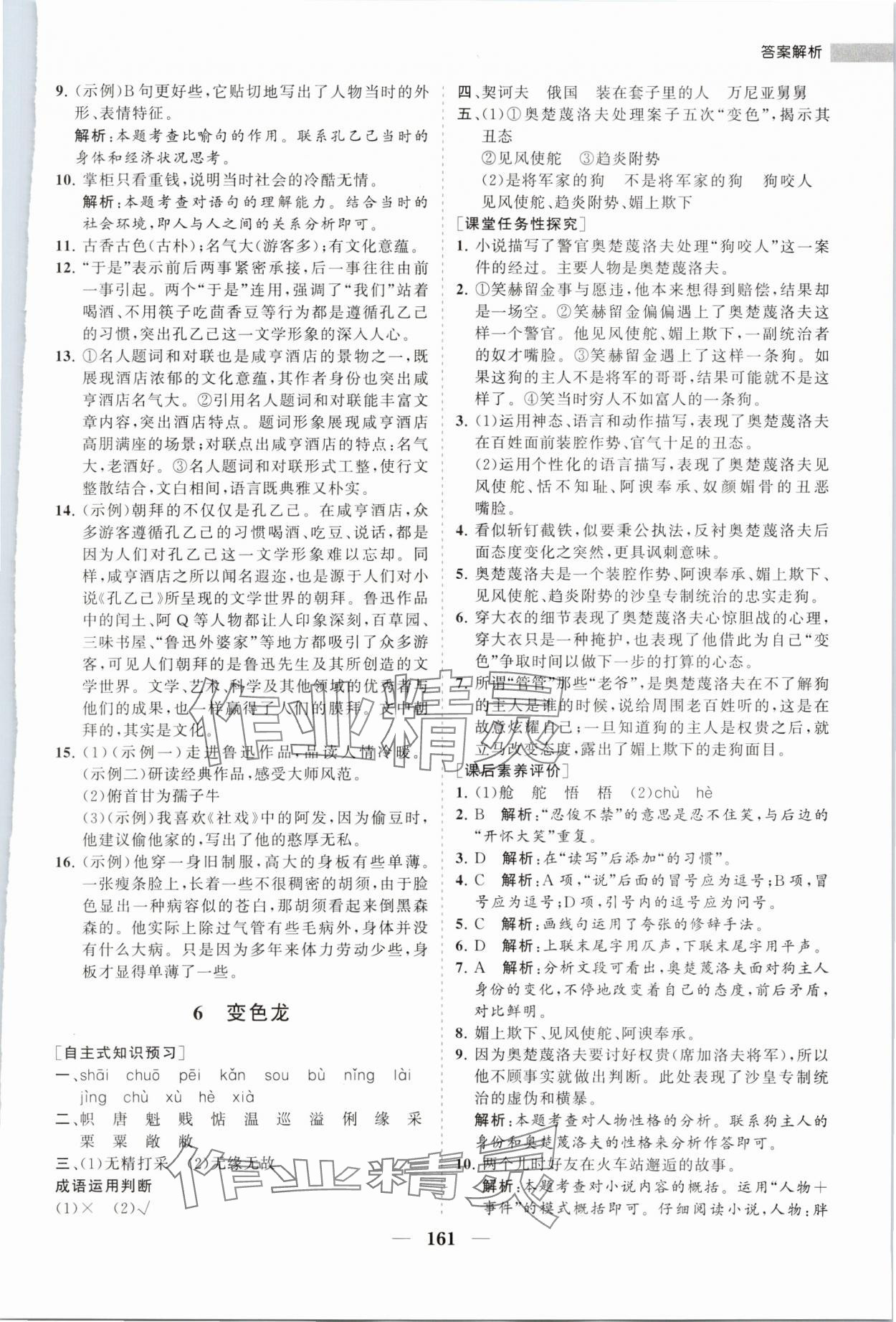 2024年新課程同步練習(xí)冊(cè)九年級(jí)語(yǔ)文下冊(cè)人教版 第7頁(yè)