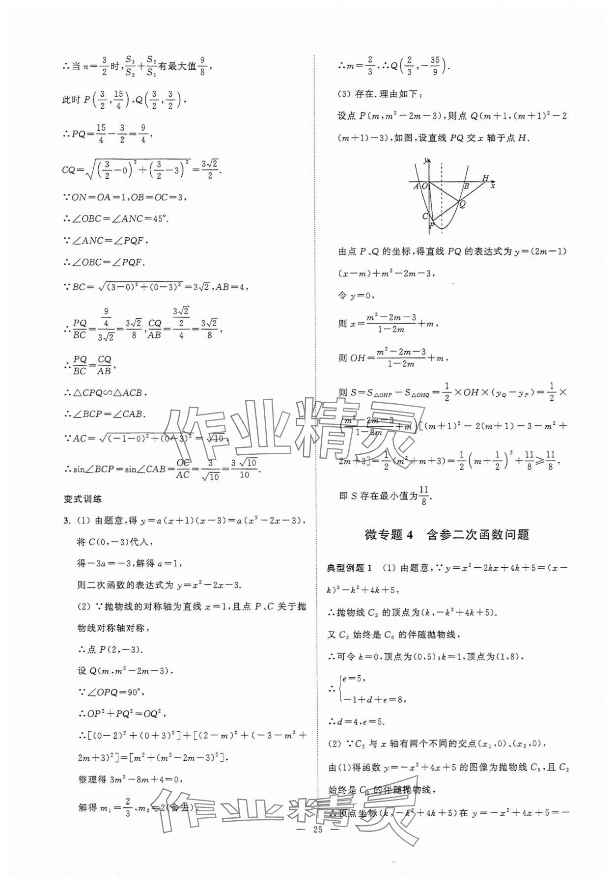 2025年中考復(fù)習(xí)奪冠寶典數(shù)學(xué)江蘇專版 參考答案第25頁