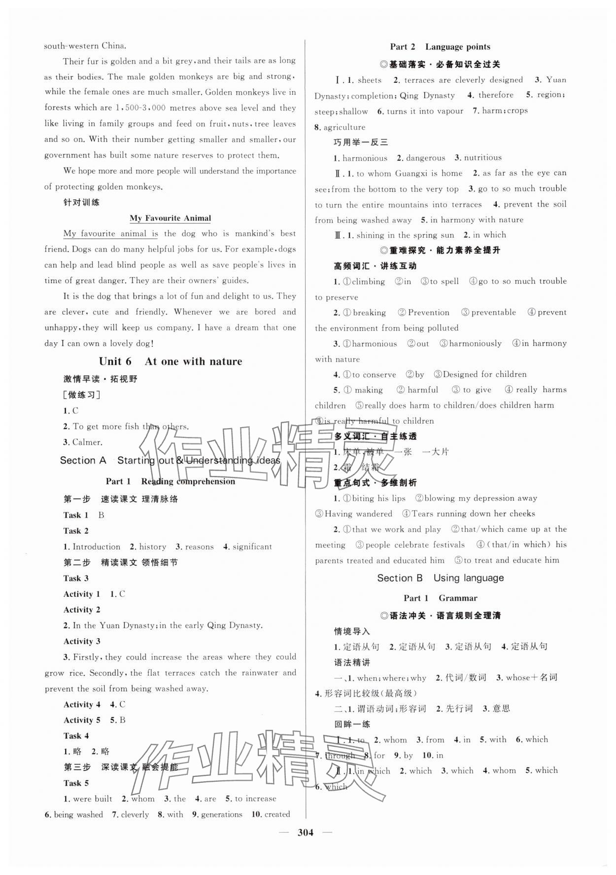 2025年高中同步学案优化设计英语必修第一册外研版 参考答案第11页