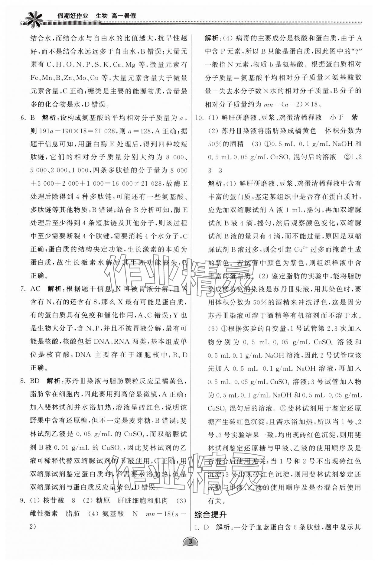 2024年假期好作业暨期末复习暑假高一生物 参考答案第3页