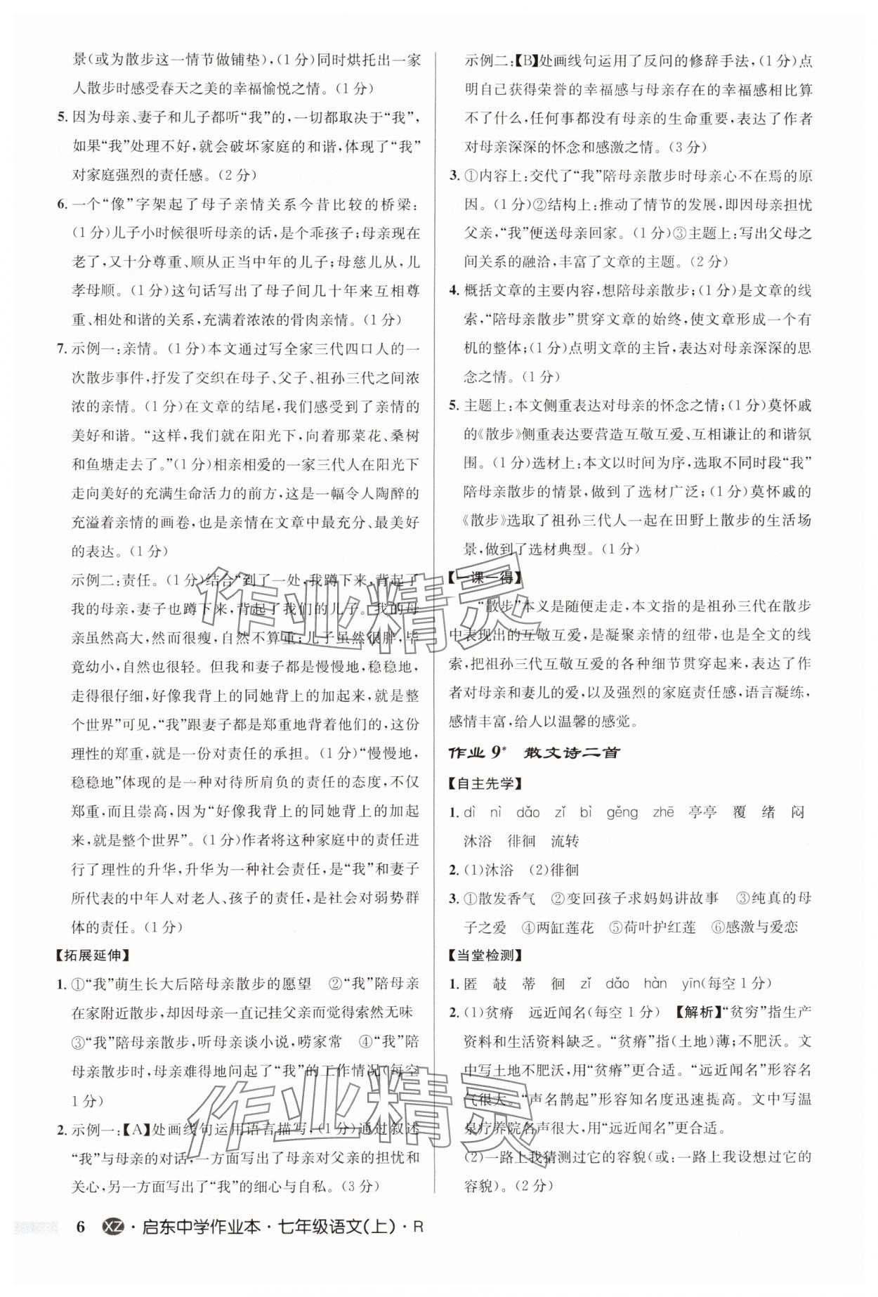 2024年啟東中學作業(yè)本七年級語文上冊人教版徐州專版 第6頁