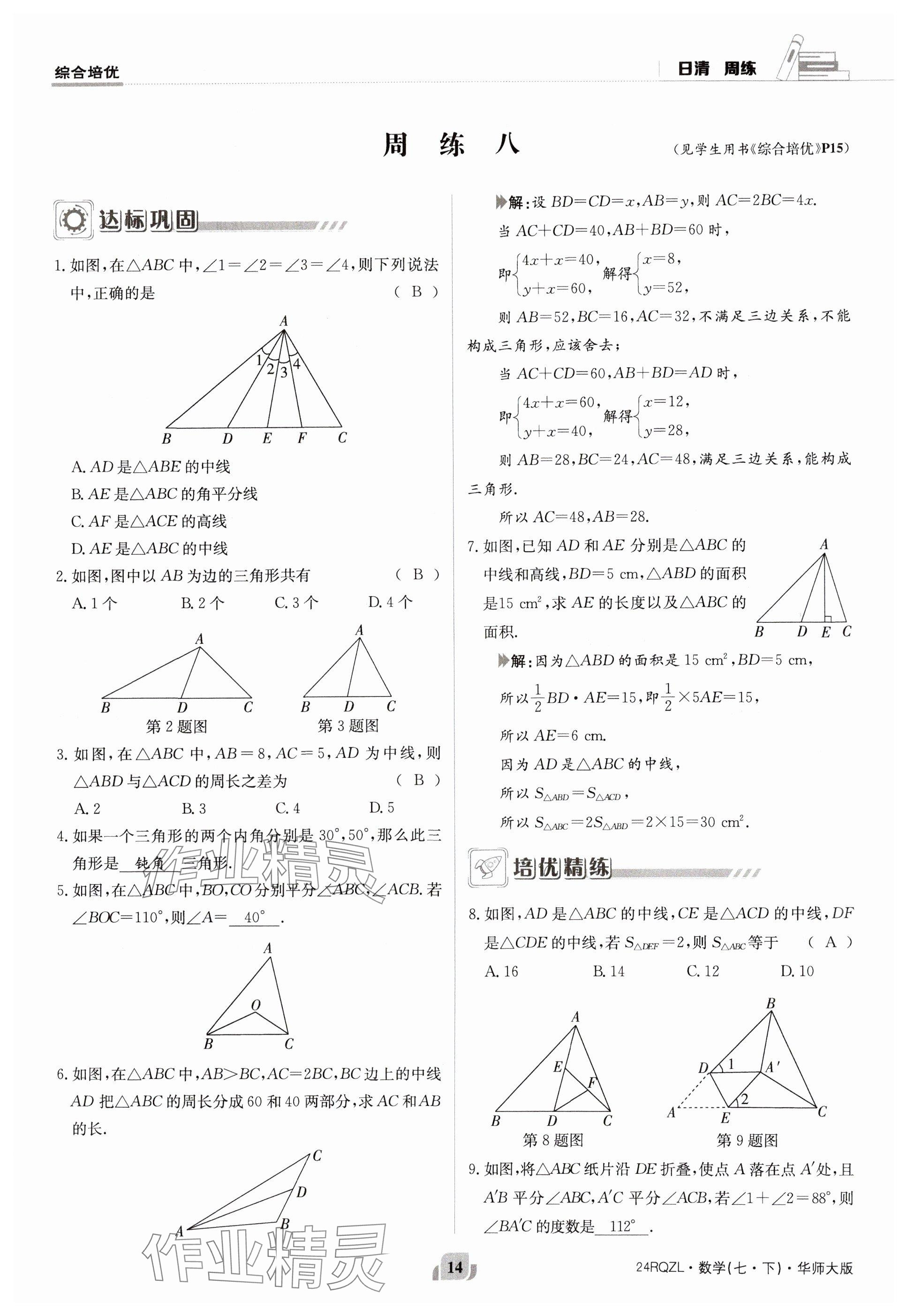 2024年日清周練七年級數(shù)學下冊華師大版 參考答案第14頁