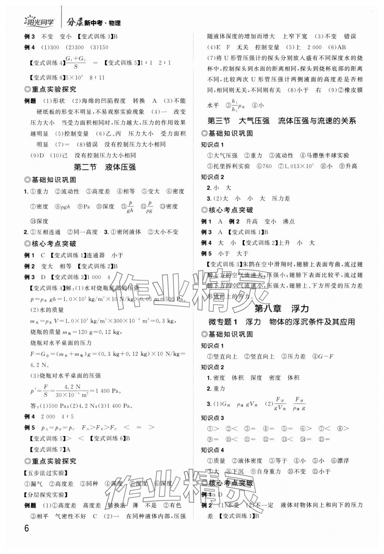 2025年陽光同學(xué)分層新中考物理福建專版 參考答案第5頁