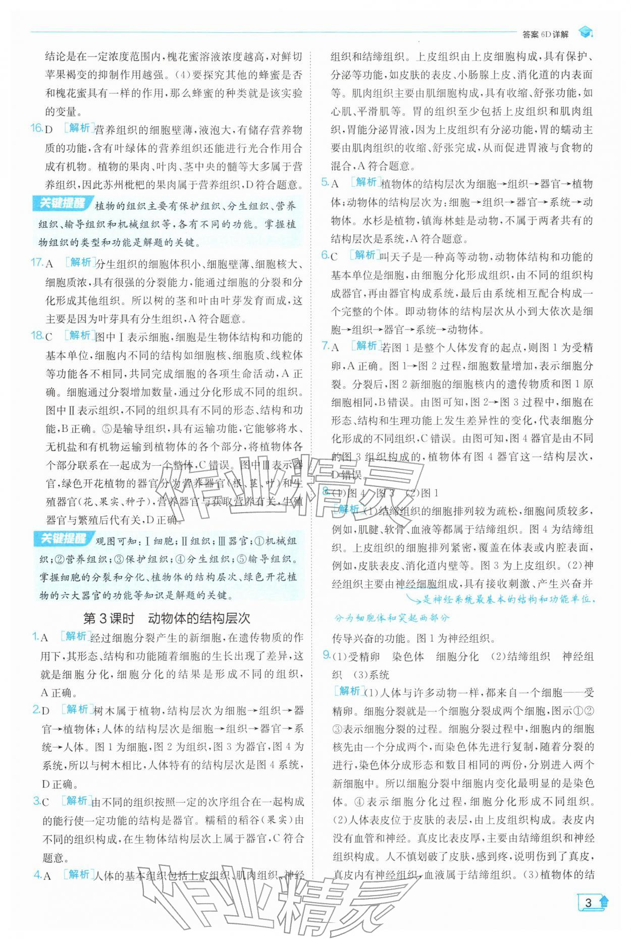 2026年实验班提优训练七年级科学下册浙教版&nbsp;第3页