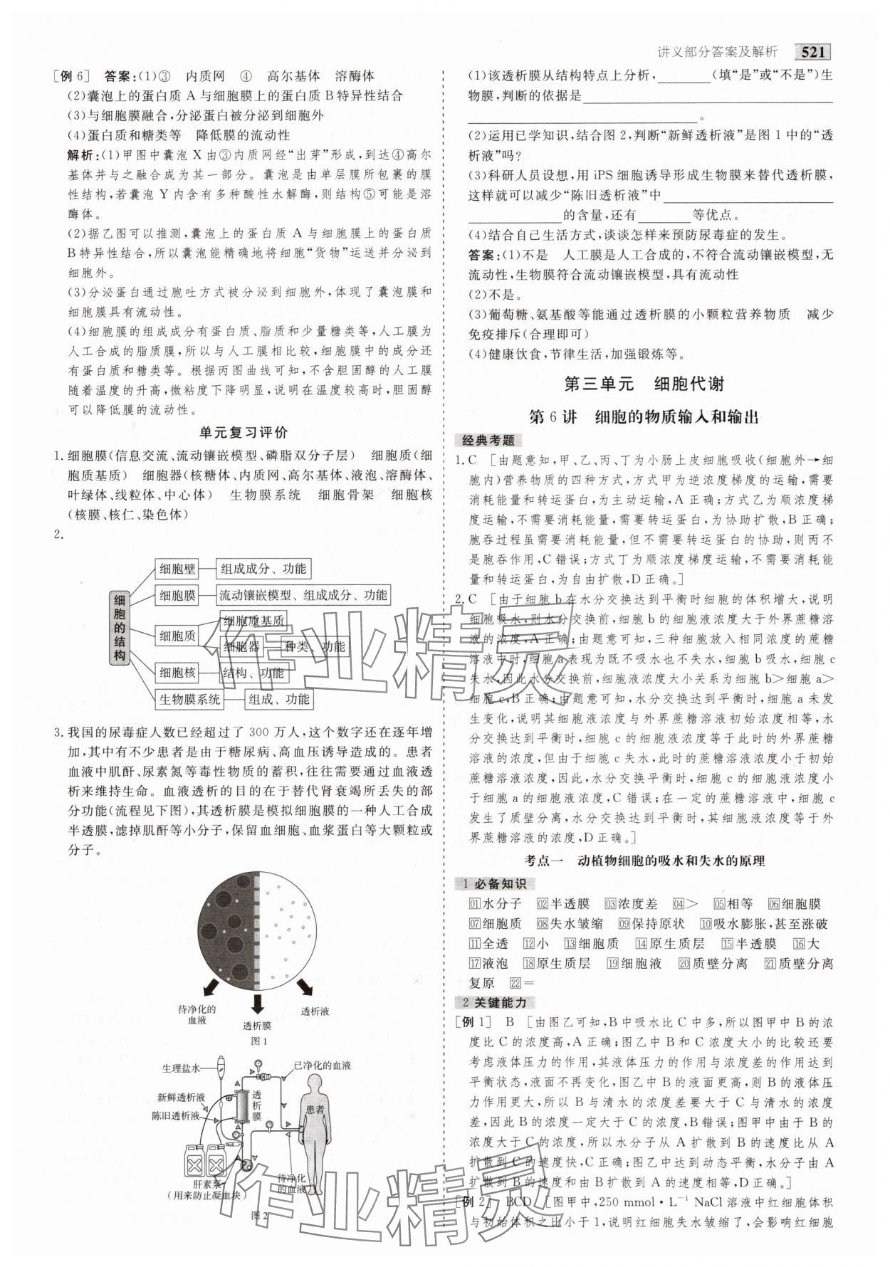 2025年金版教程高考科學(xué)復(fù)習(xí)解決方案生物創(chuàng)新版 第7頁(yè)