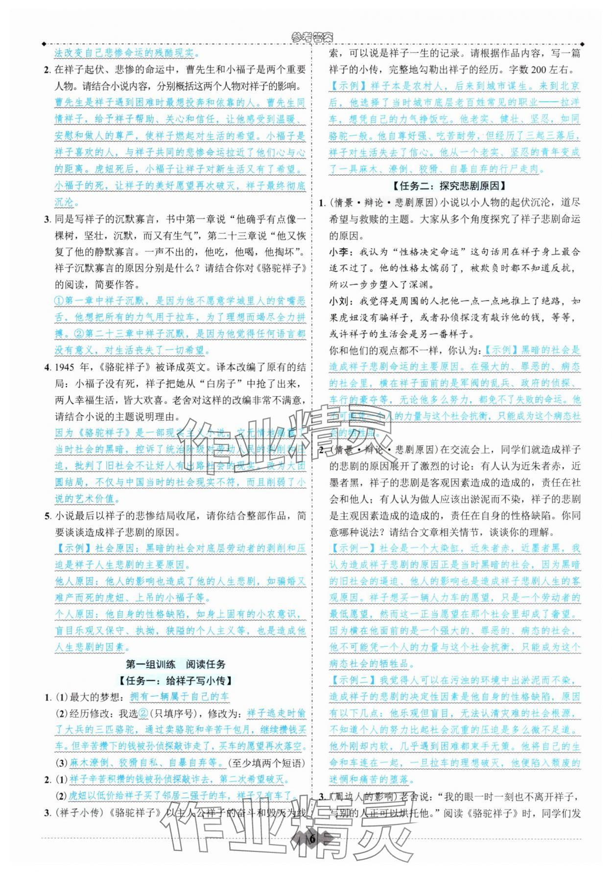 2025年初中达标学案名著解读一点通七年级下册人教版 参考答案第5页