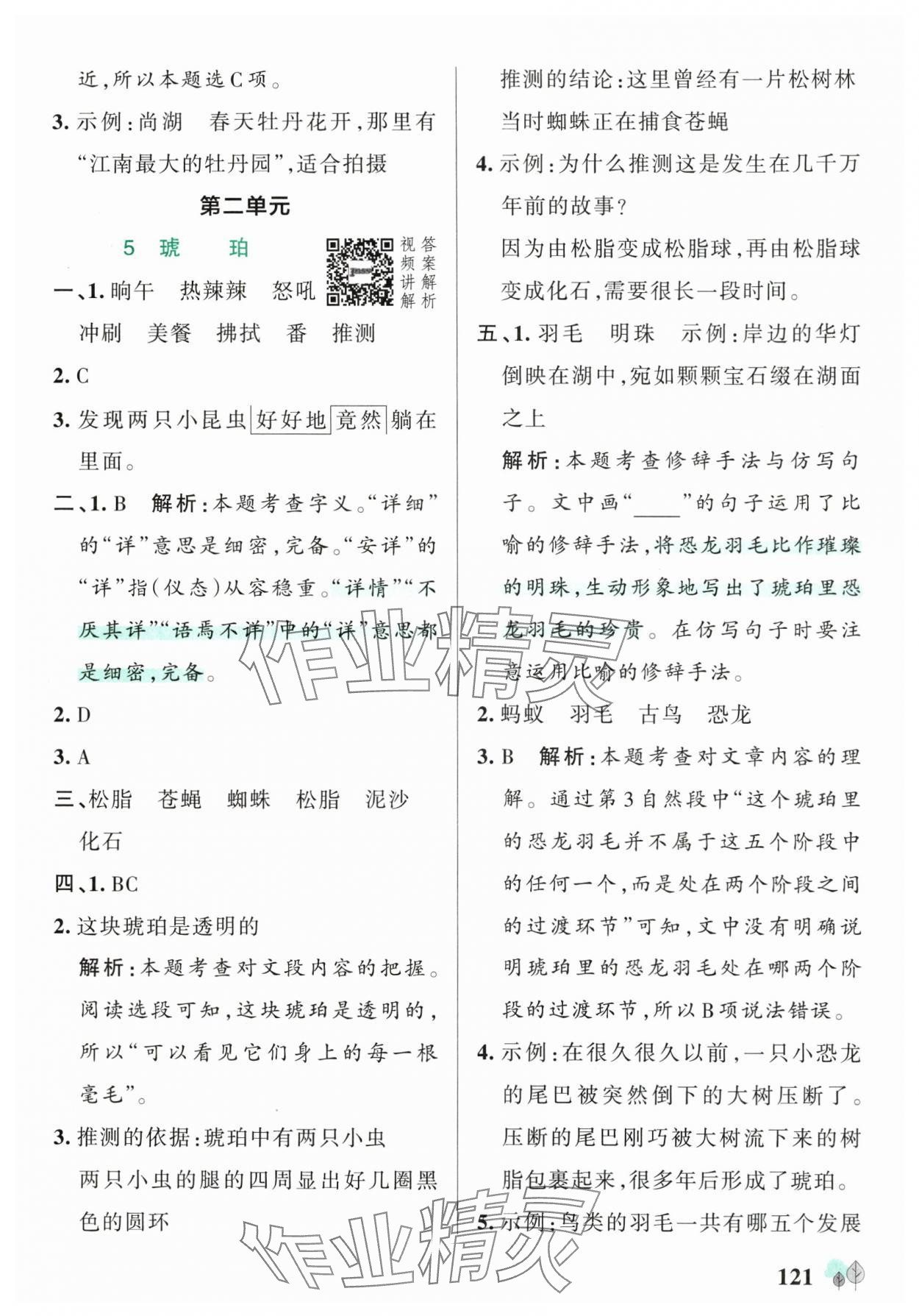 2025年綠卡提優(yōu)特訓(xùn)四年級(jí)語(yǔ)文下冊(cè)人教版江蘇專版&nbsp;參考答案第5頁(yè)