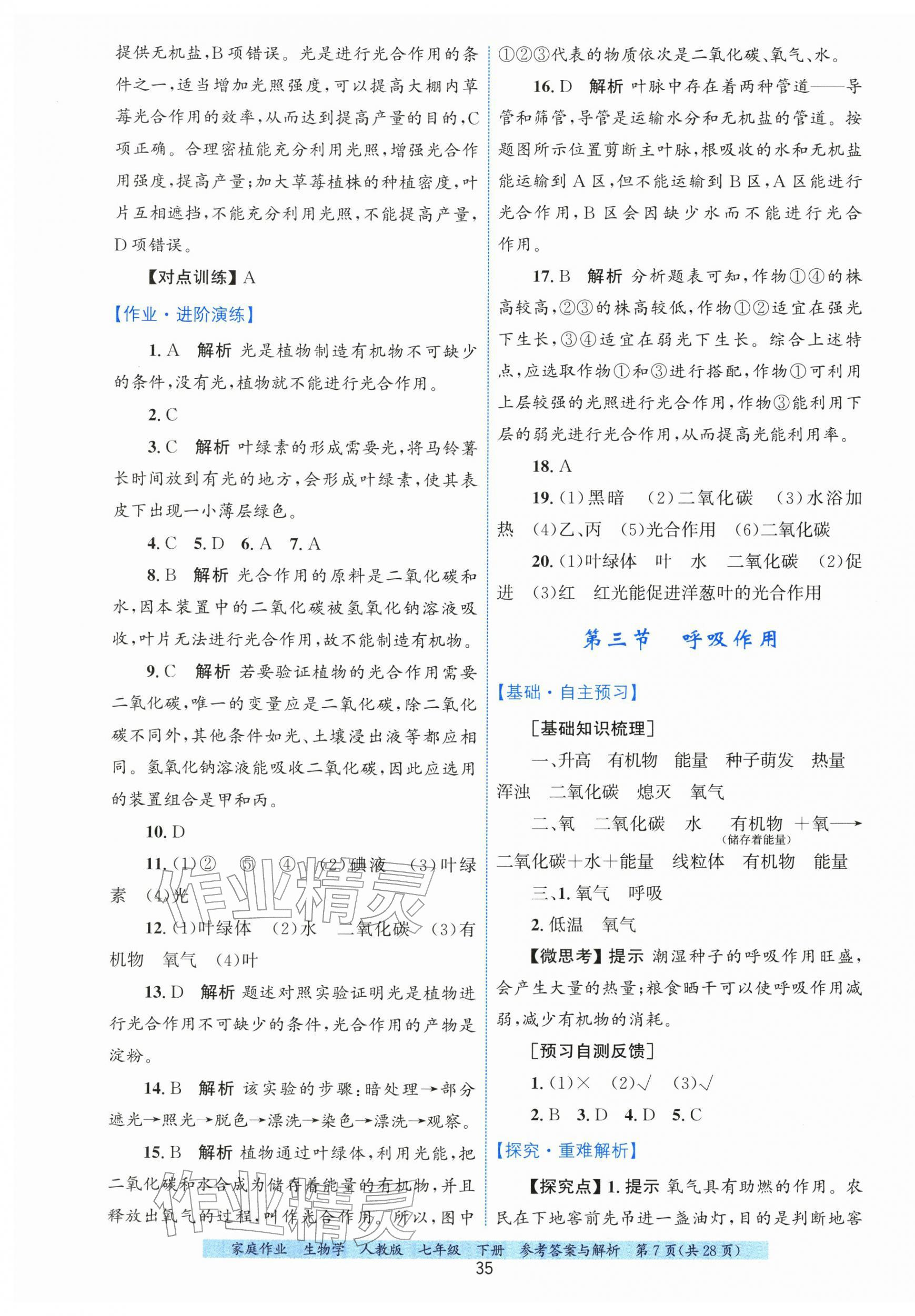 2026年家庭作业七年级生物下册人教版&nbsp;第7页