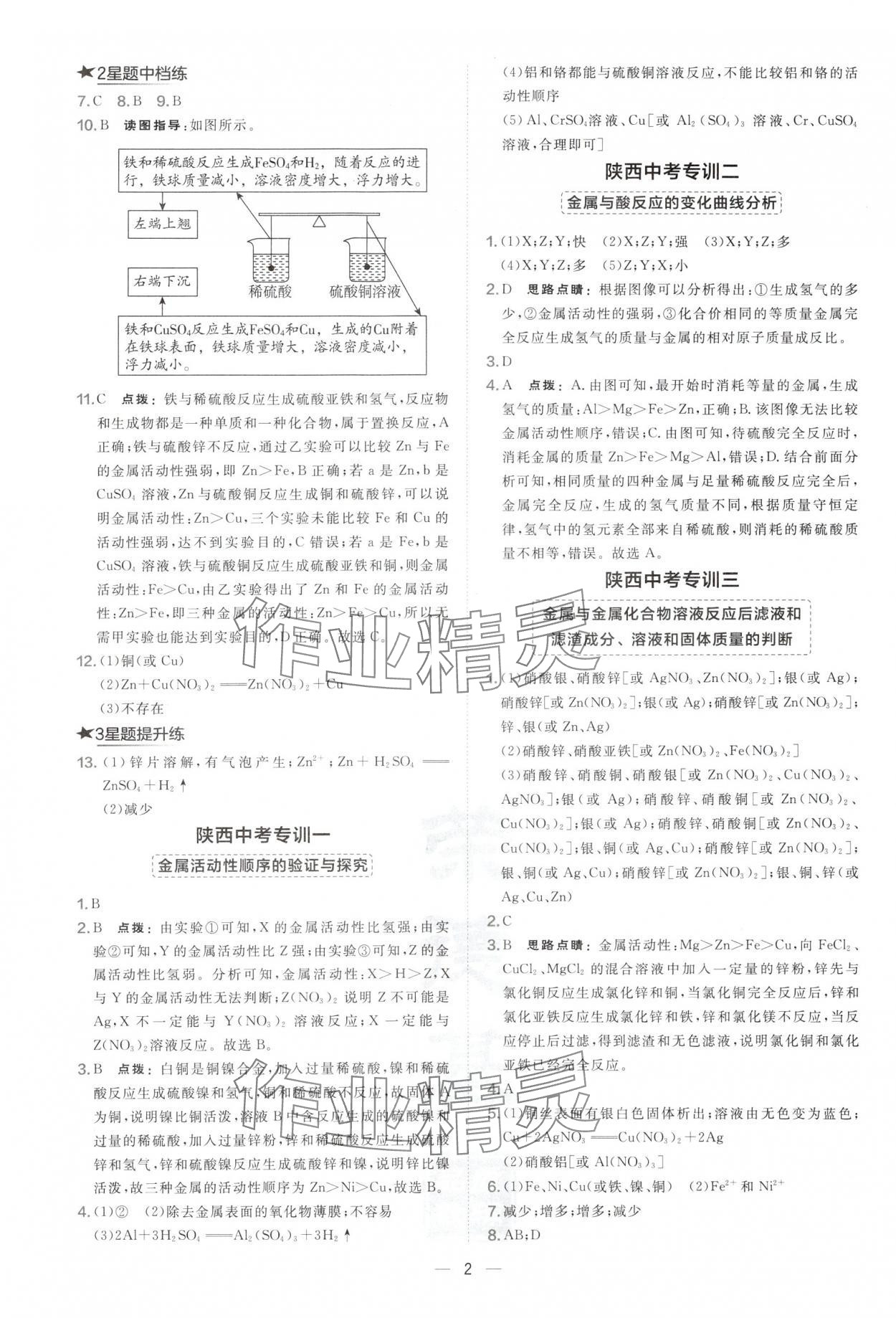2025年点拨训练九年级化学下册开心版陕西专版 第2页