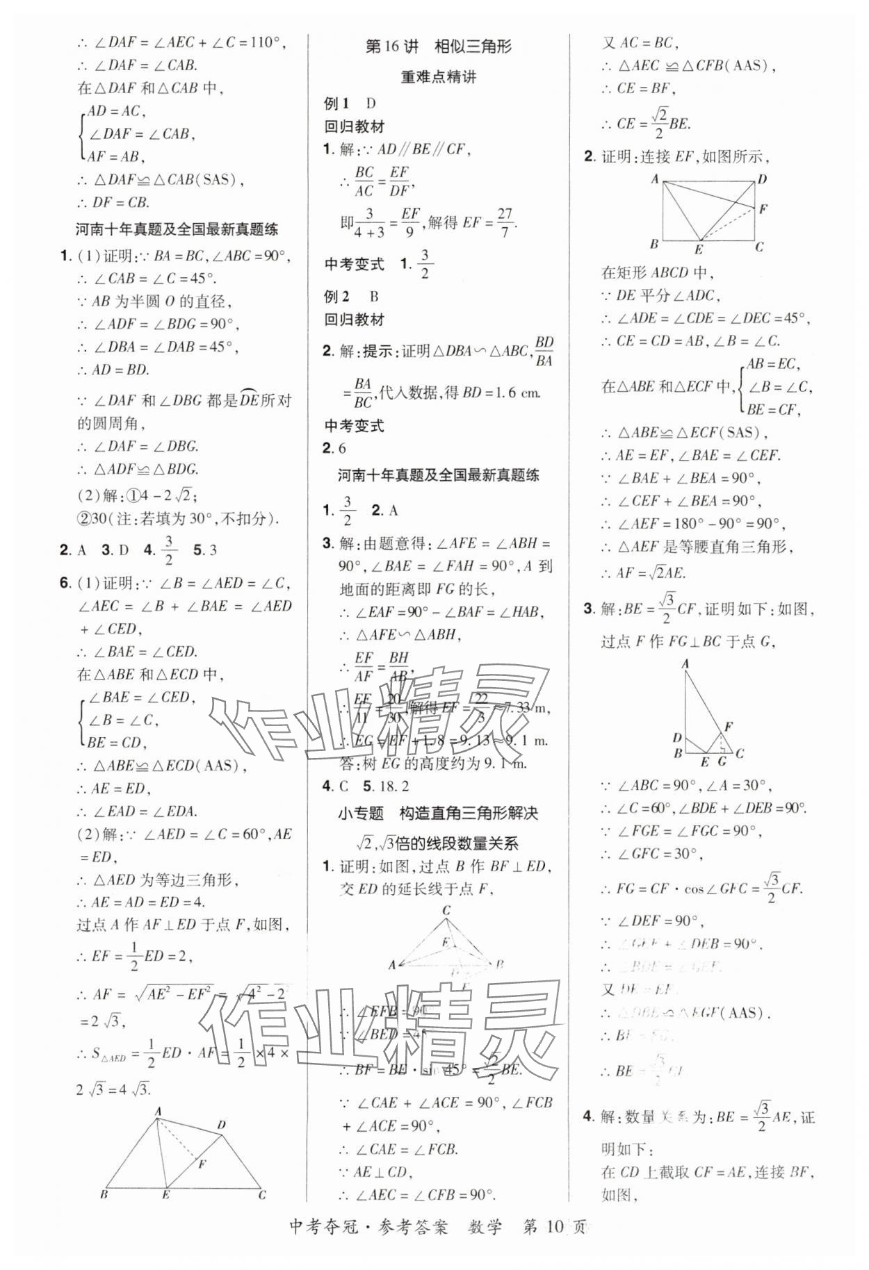 2024年國華教育中考奪冠數學河南專版 第12頁