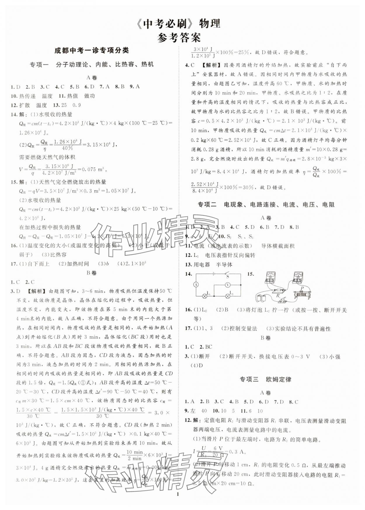 2025年初中學業水平考試應試指南物理 第1頁