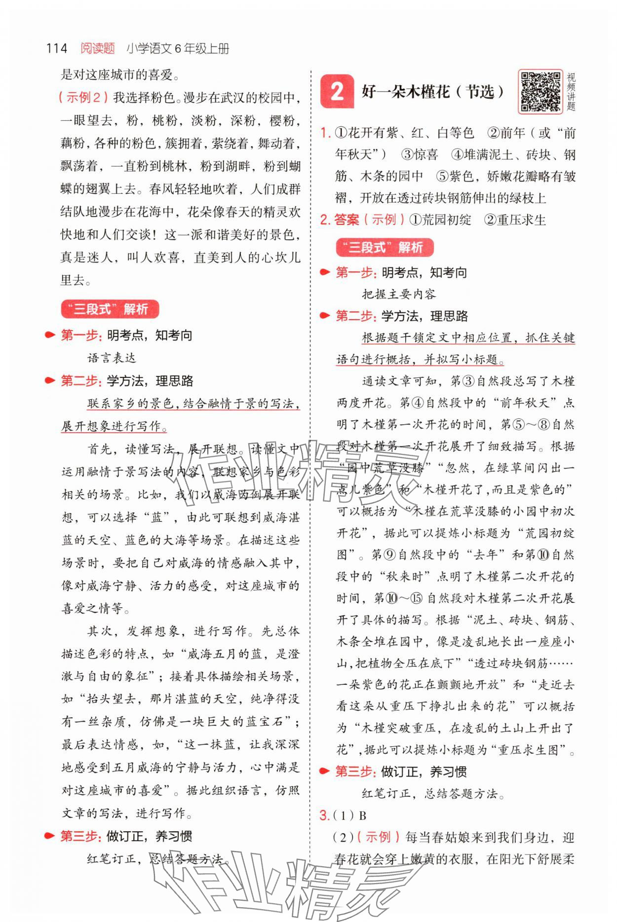 2025年一本阅读题六年级语文上册 第2页