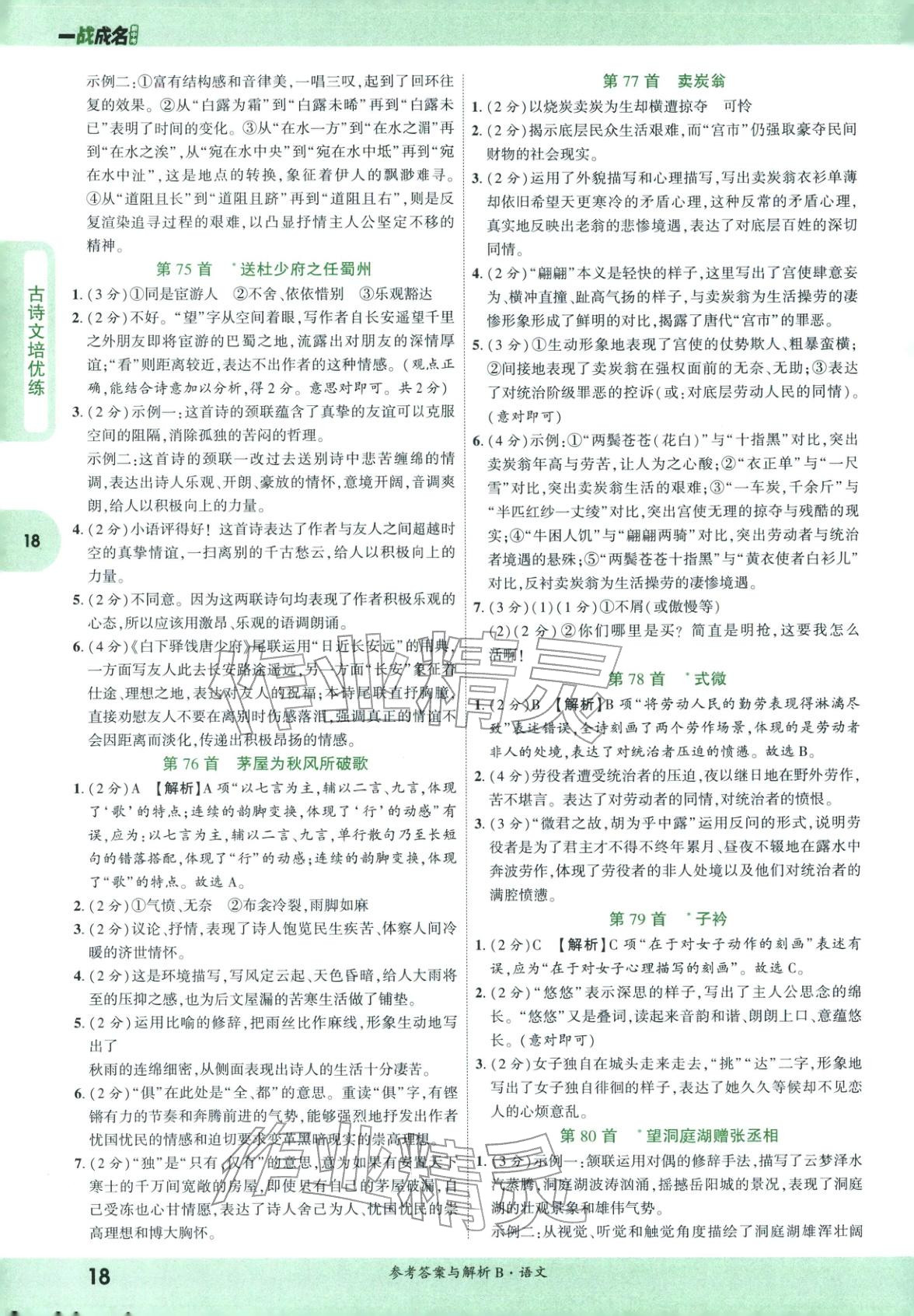 2026年纯练版总复习九年级语文全一册人教版&nbsp;第18页