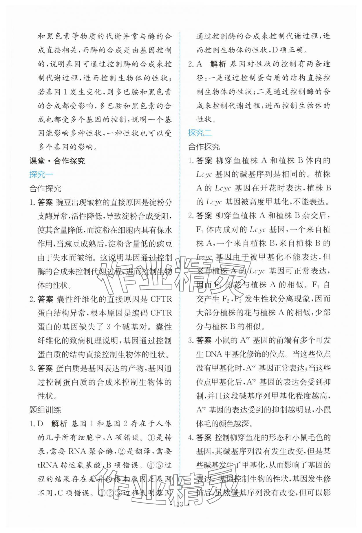 2025年能力培养与测试高中生物必修2人教版 参考答案第22页