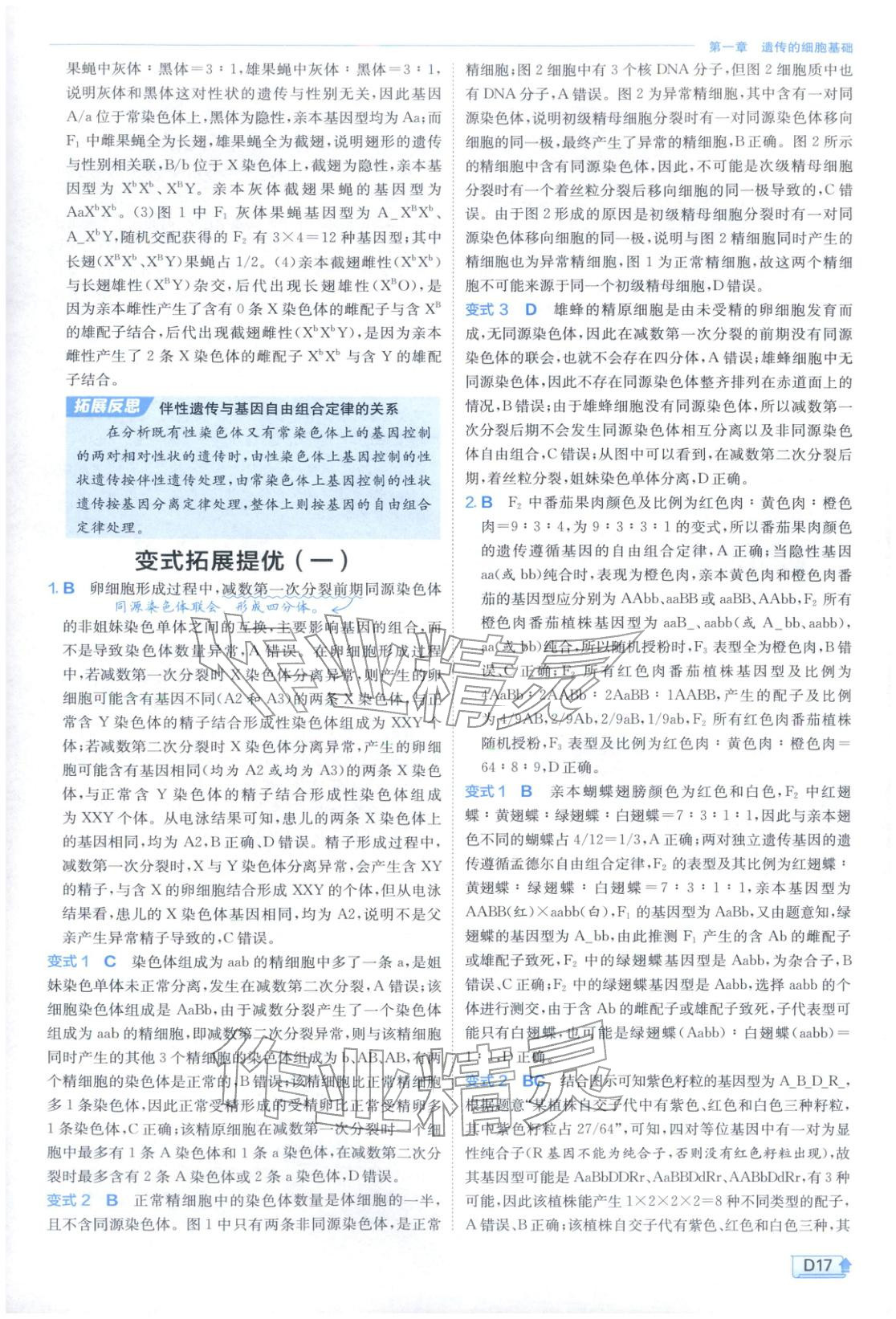 2026年實(shí)驗(yàn)班提優(yōu)訓(xùn)練高中生物必修第二冊(cè)蘇教版&nbsp;第17頁