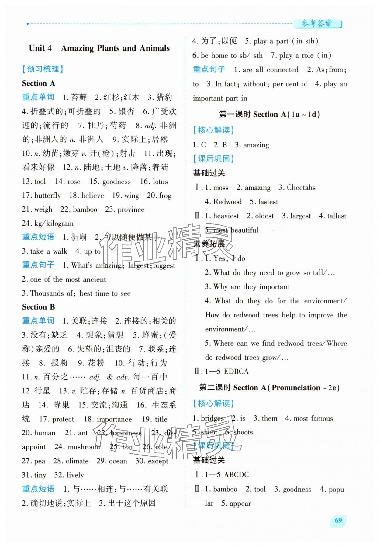 2025年績(jī)優(yōu)學(xué)案八年級(jí)英語(yǔ)上冊(cè)人教版 第9頁(yè)