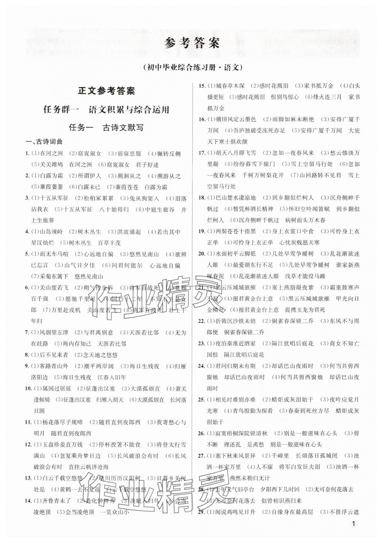 2024年毕业综合练习册语文中考 第1页