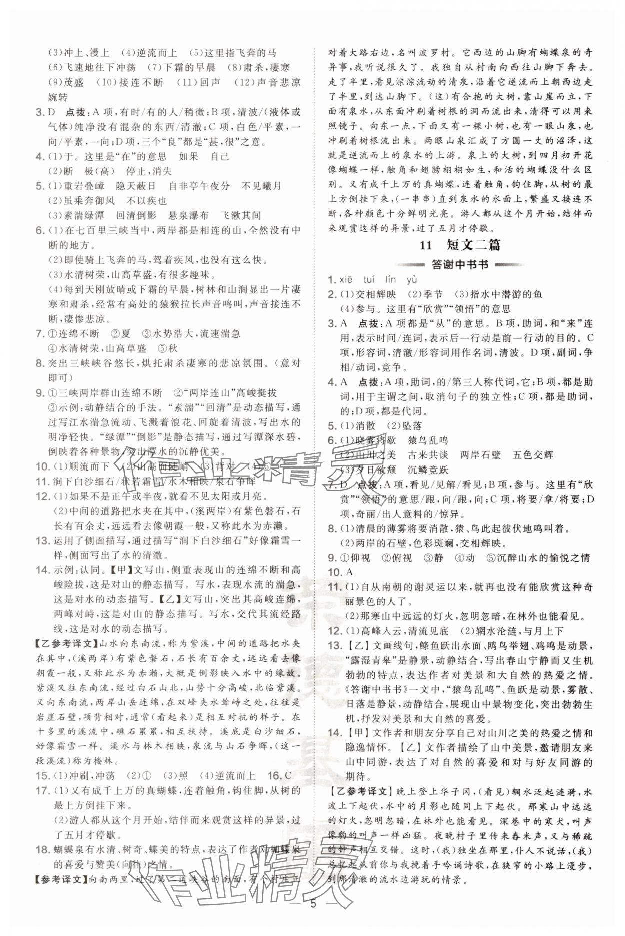 2024年點撥訓練八年級語文上冊人教版 第5頁