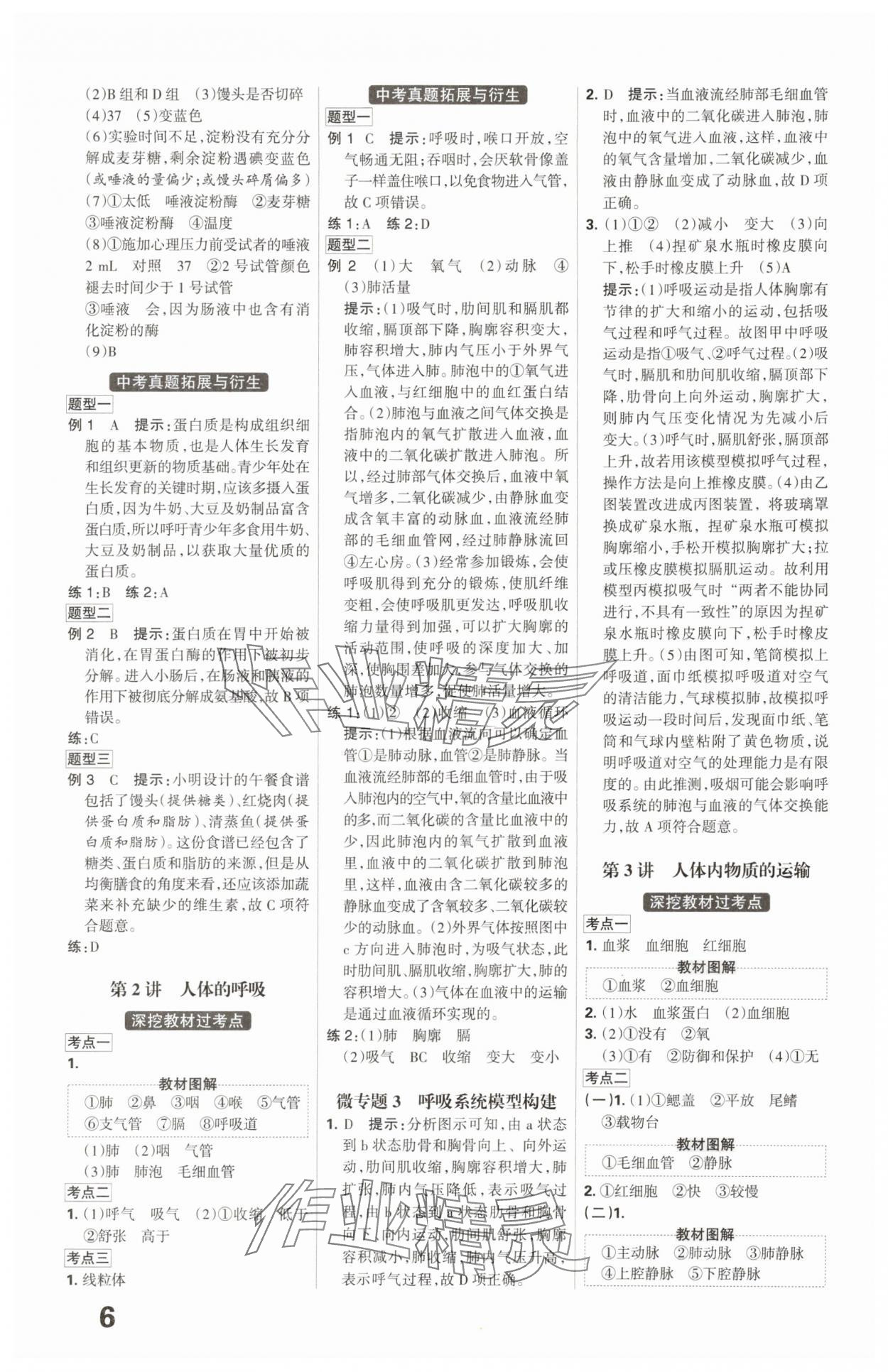 2025年全优中考系统总复习生物河北专版 第6页