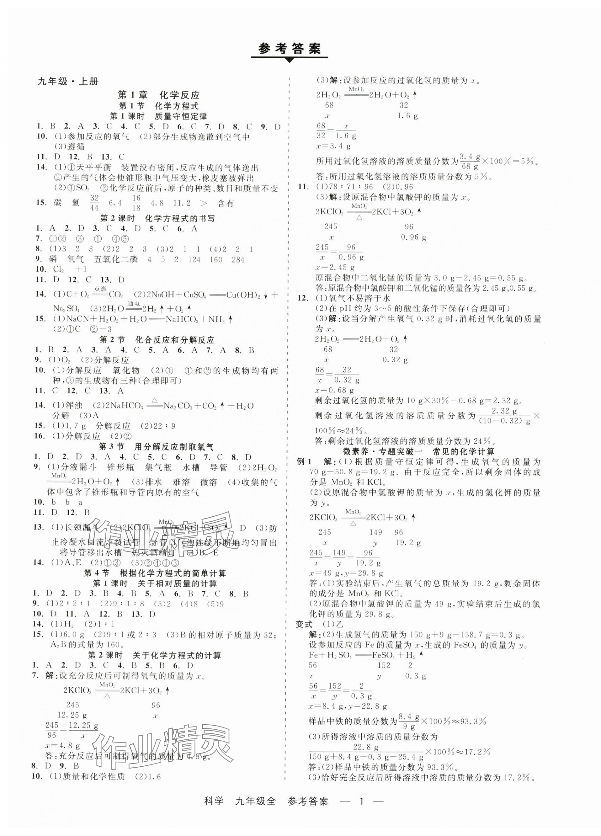 2024年精彩练习就练这一本九年级科学全一册华师大版 第1页