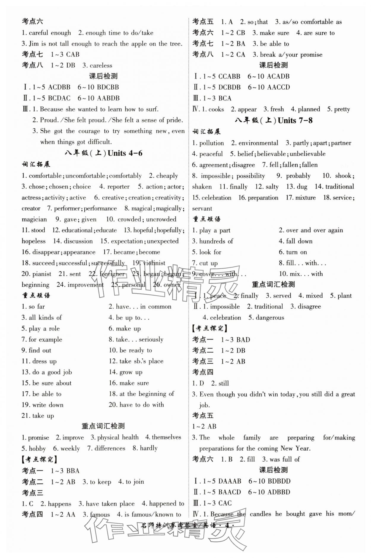 2024年名師特訓(xùn)英語(yǔ)安徽專版 第4頁(yè)