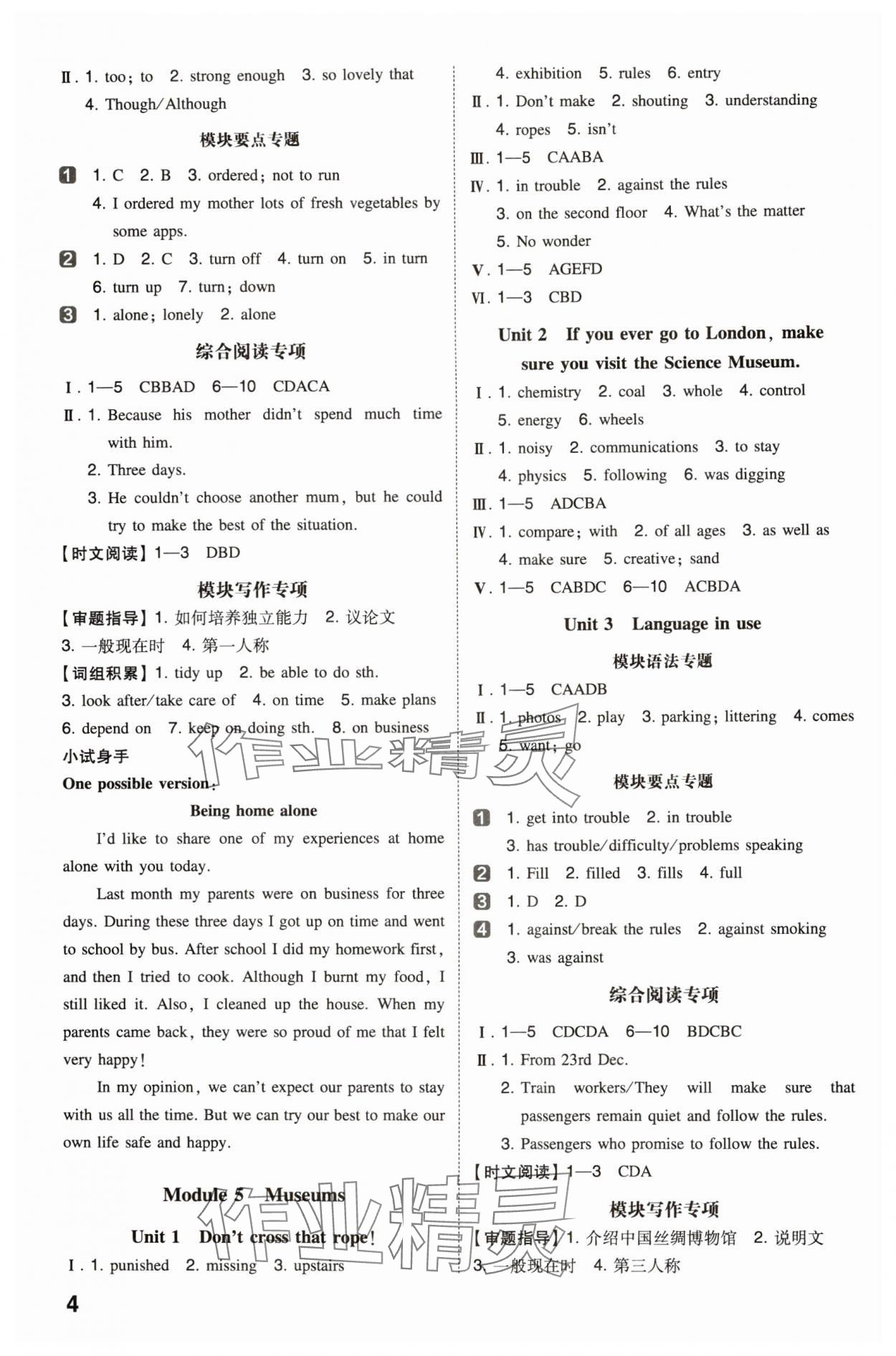 2024年一本同步訓(xùn)練九年級初中英語上冊外研版 第4頁