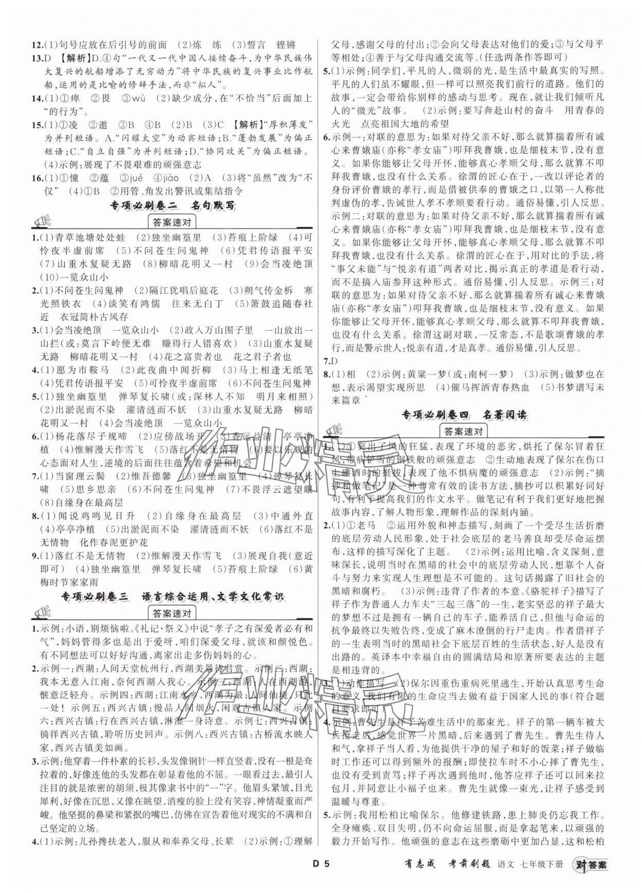 2025年有志成考前刷題七年級(jí)語(yǔ)文下冊(cè)人教版 第5頁(yè)